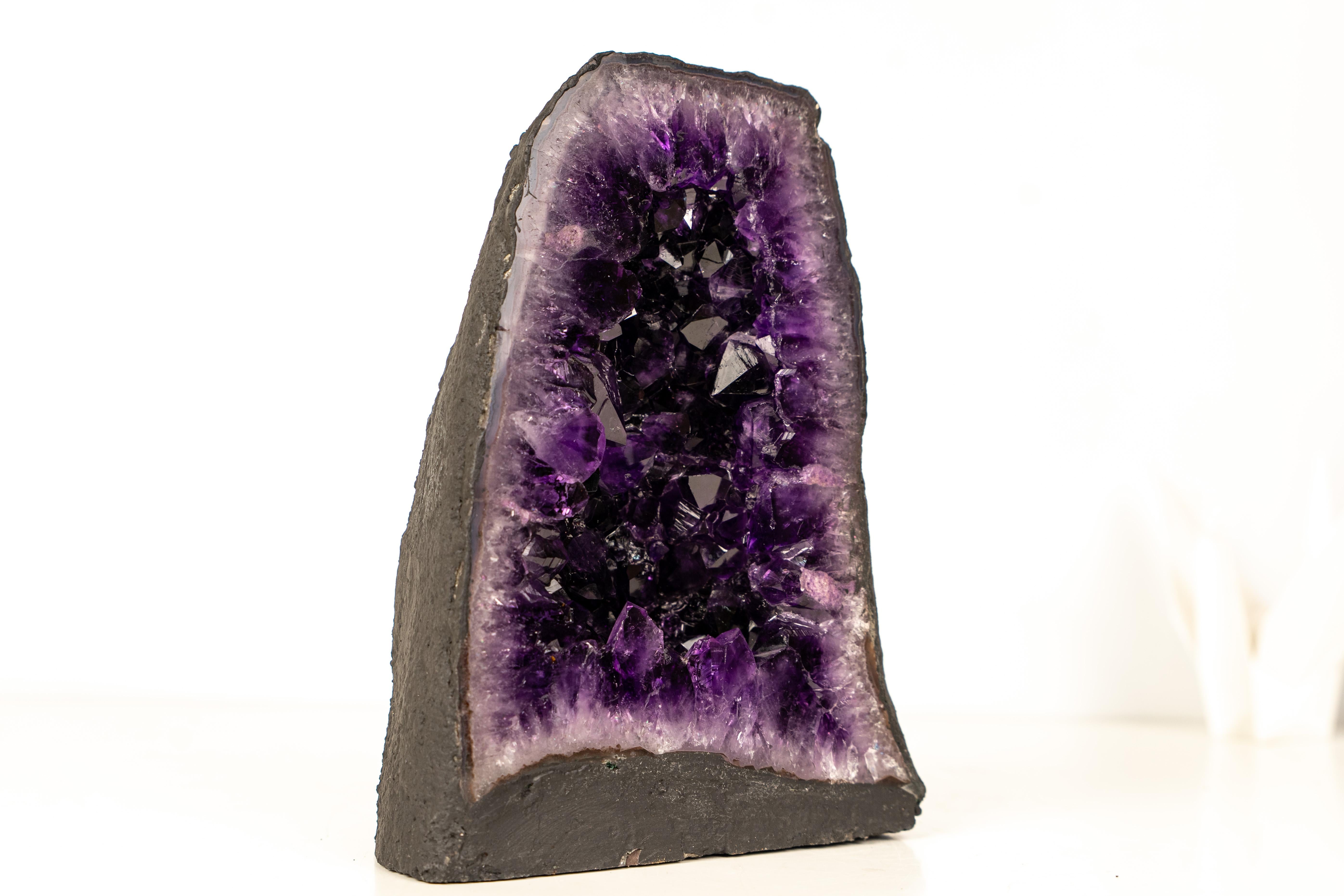 Brasiliano AAA-Grade Amethyst Geode – Deep Purple Druzy Crystals in vendita