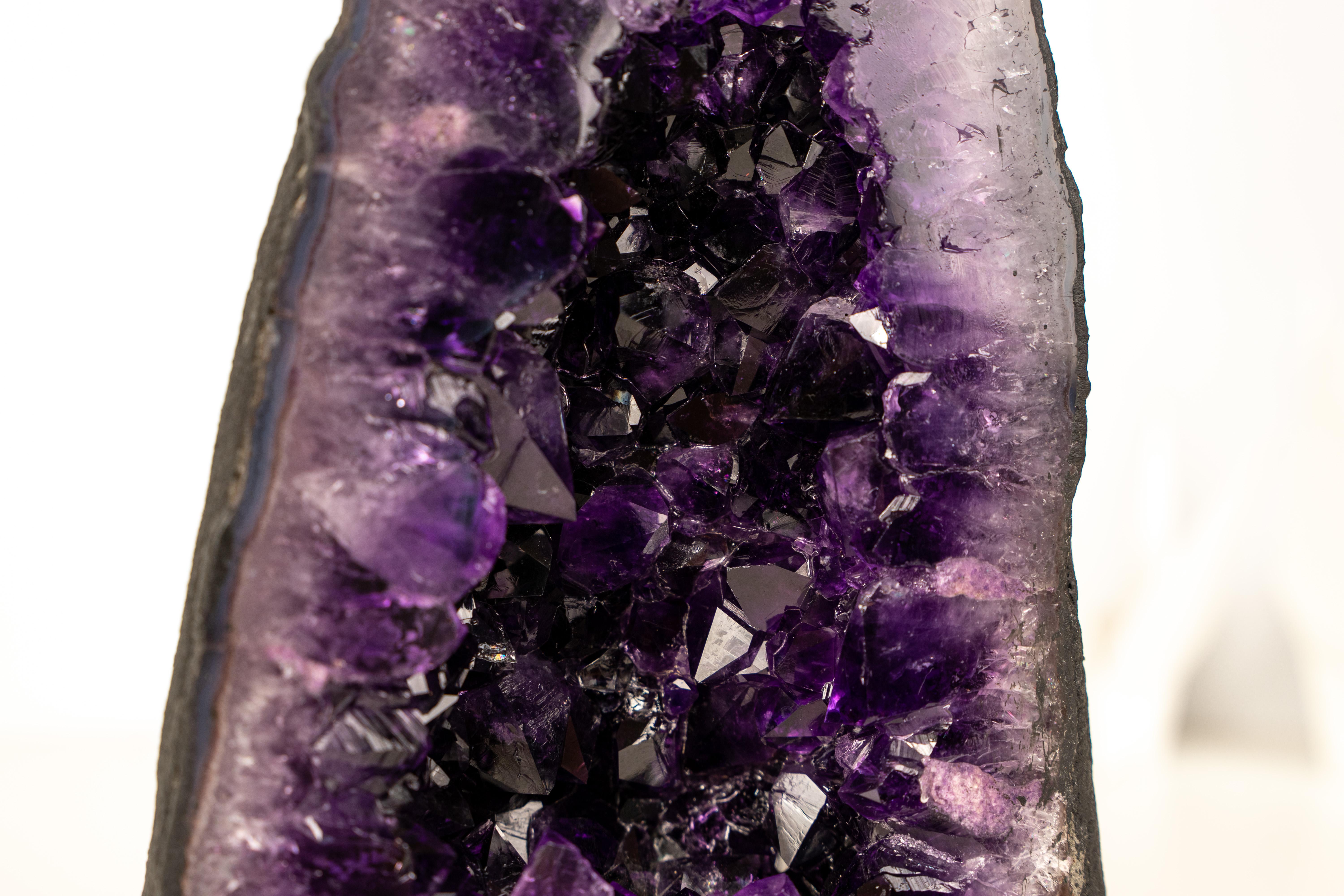 AAA-Grade Amethyst Geode – Deep Purple Druzy Crystals In condizioni Nuovo in vendita a Ametista Do Sul, BR