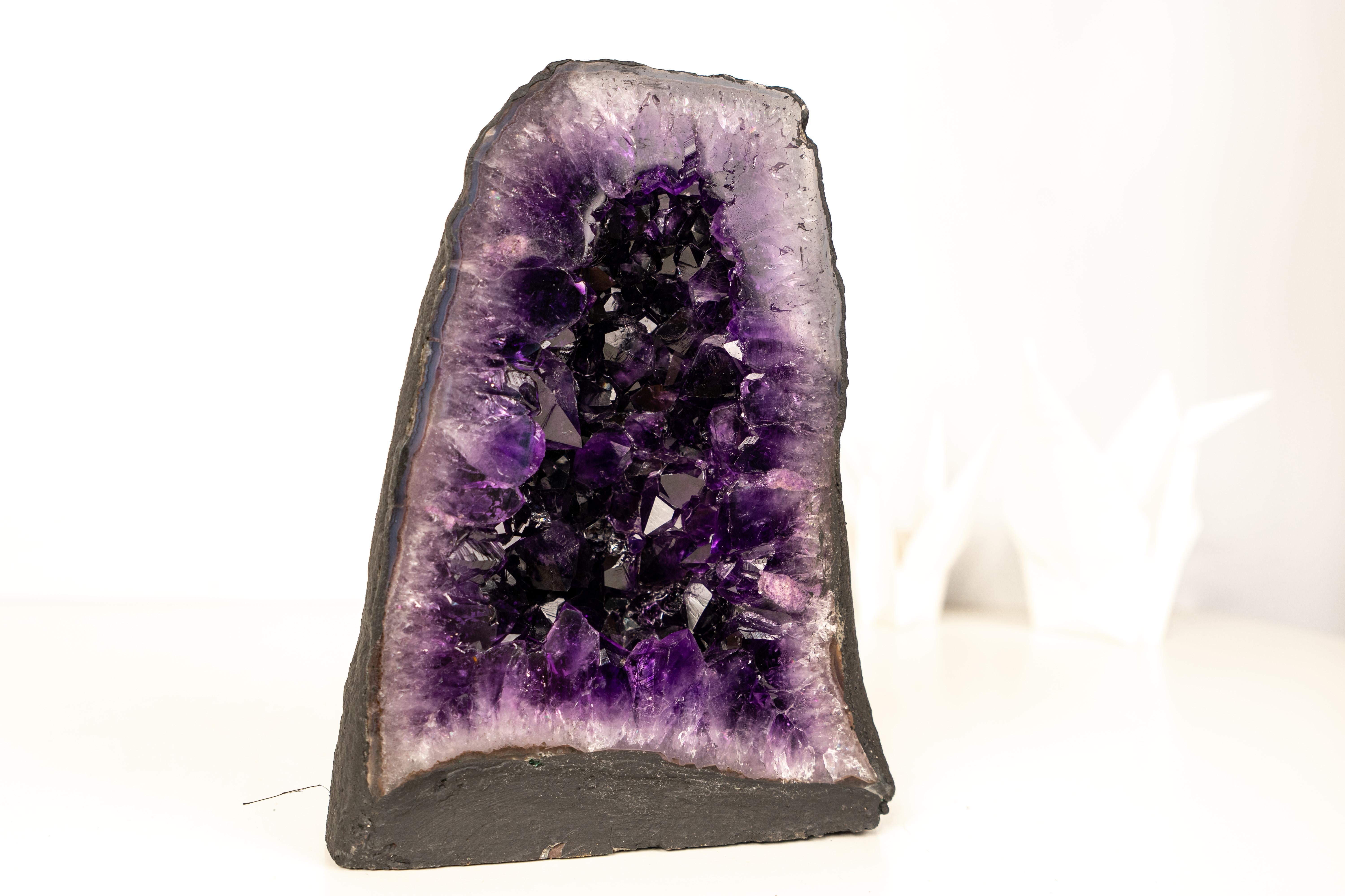 Cristallo AAA-Grade Amethyst Geode – Deep Purple Druzy Crystals in vendita