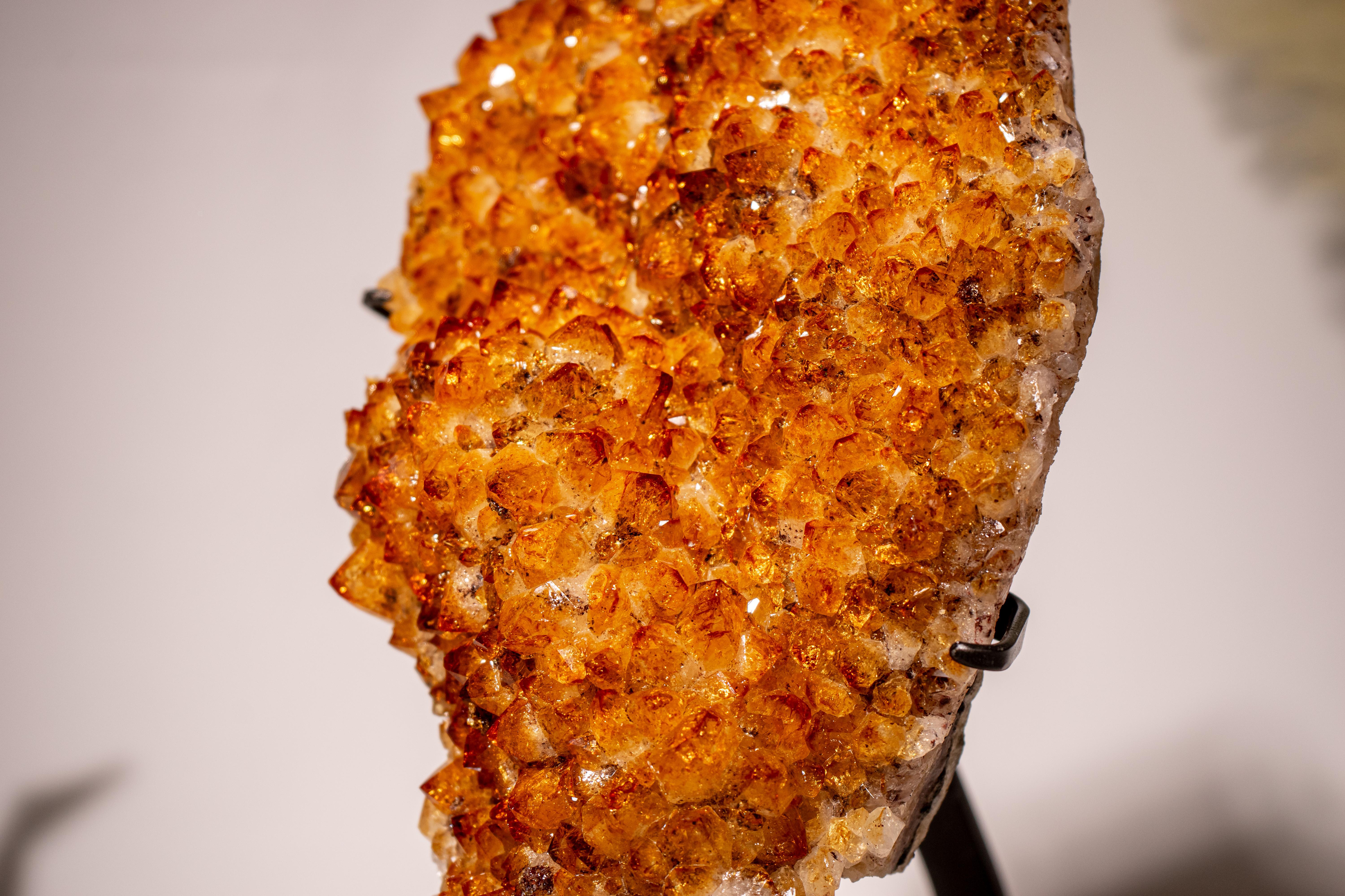 Cluster di geodi di citrino con druzy dorato-arancione intenso e formazione distinta

▫️ Descrizione

Questo è un bellissimo esempio di grappolo di citrino, formato come un fiore che sboccia. Presenta un'estetica splendida, colori vivaci e