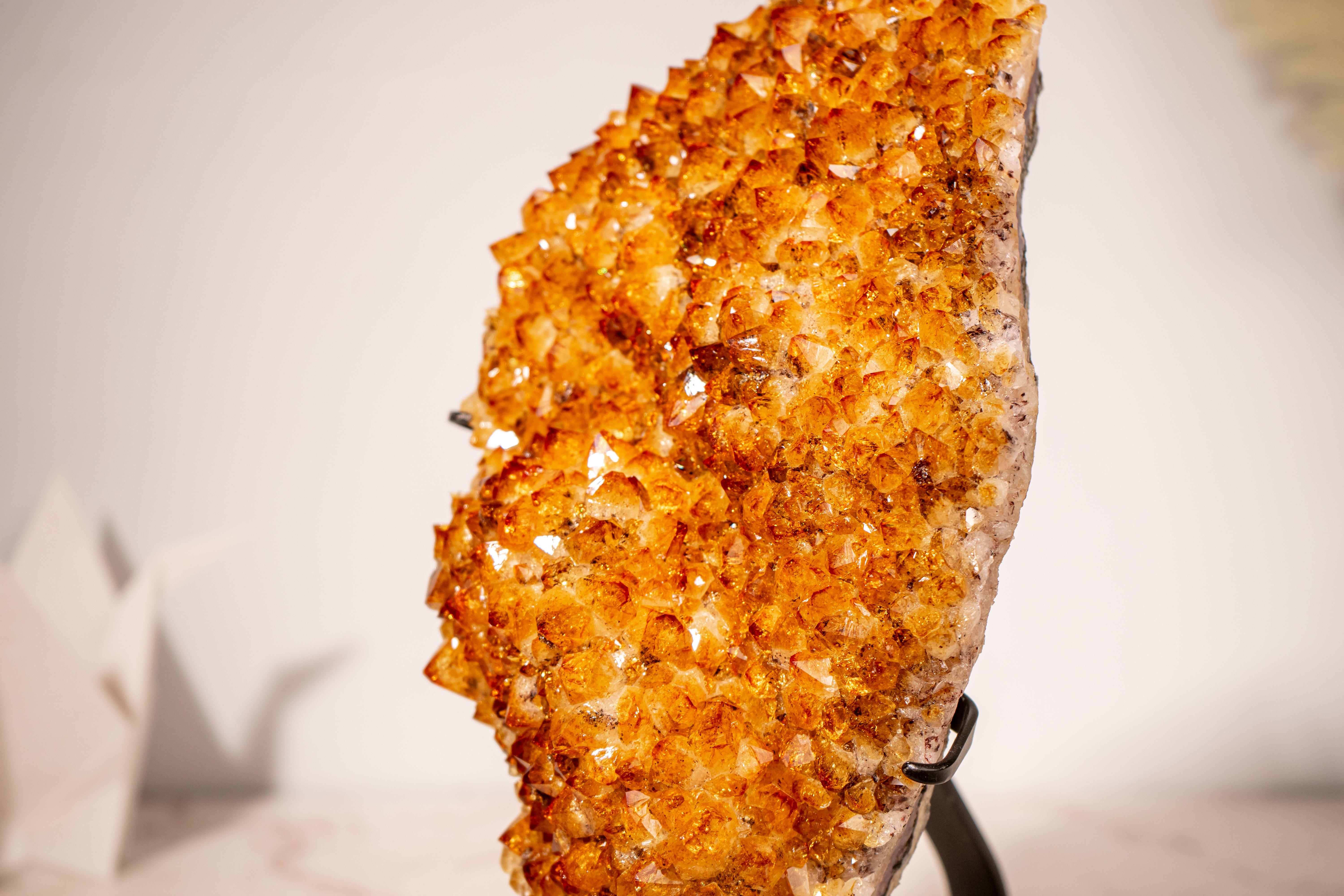 XXI secolo e contemporaneo Cluster di Citrino di grado AAA con Druzy arancione intenso in vendita