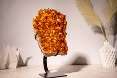 Citrine Cluster with Sparkly, Intense Golden Orange Druzy on Custom Metal Stand