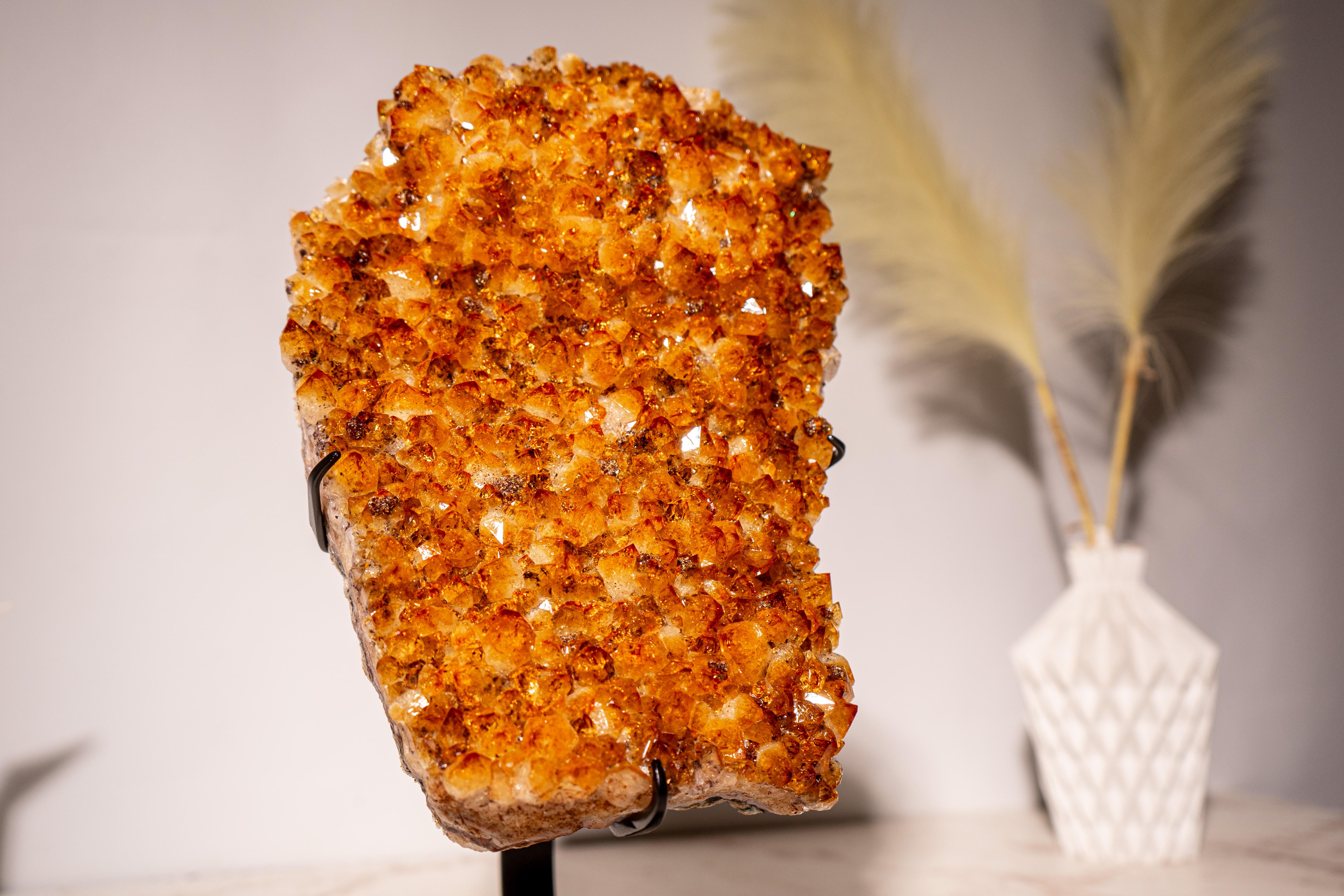 Citrine Cluster with Sparkly, Intense Golden Orange Druzy on Custom Metal Stand In New Condition For Sale In Ametista Do Sul, BR