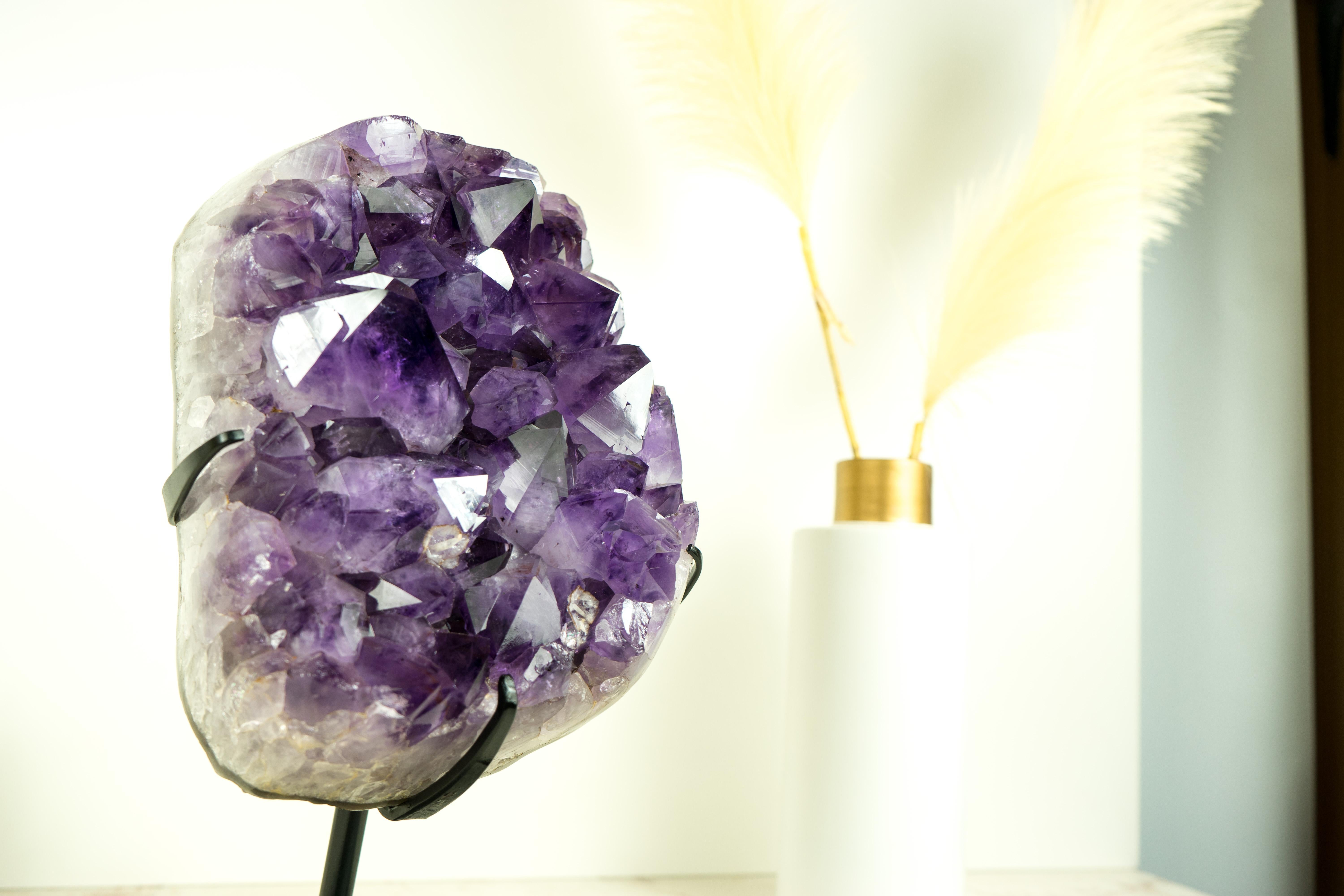 Racimo de Amatista Púrpura Profunda de Grado AAA con Grandes Puntas de Druzy, Cristal Decorativo en venta 1
