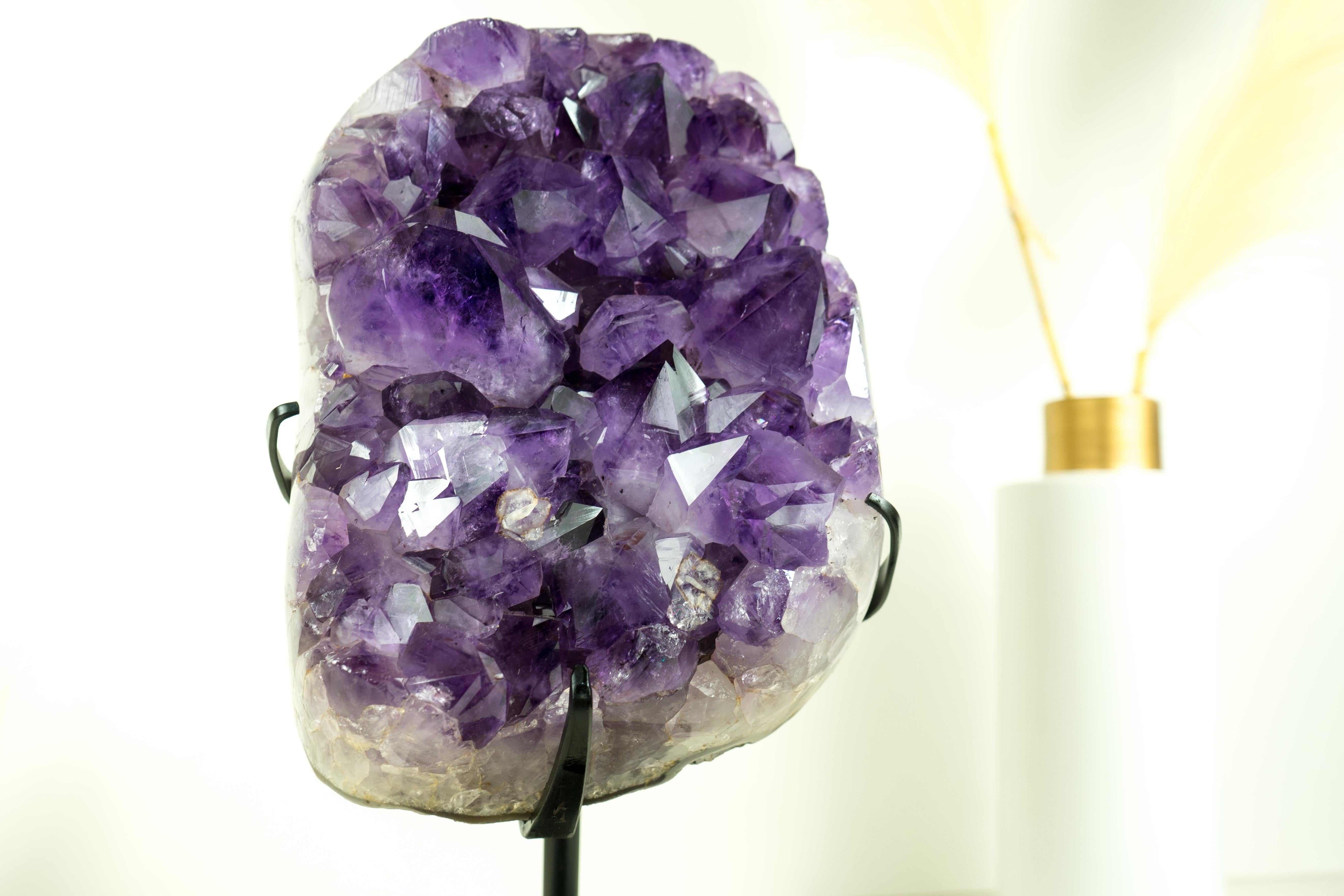 Racimo de Amatista Púrpura Profunda de Grado AAA con Grandes Puntas de Druzy, Cristal Decorativo en venta 4