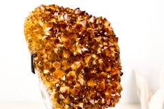 AAA-Grade Madeira Citrine Rosette Flower Crystal Cluster