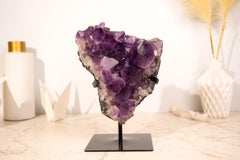 Espécimen de racimo de amatista púrpura con grandes puntas de amatista de alto grado