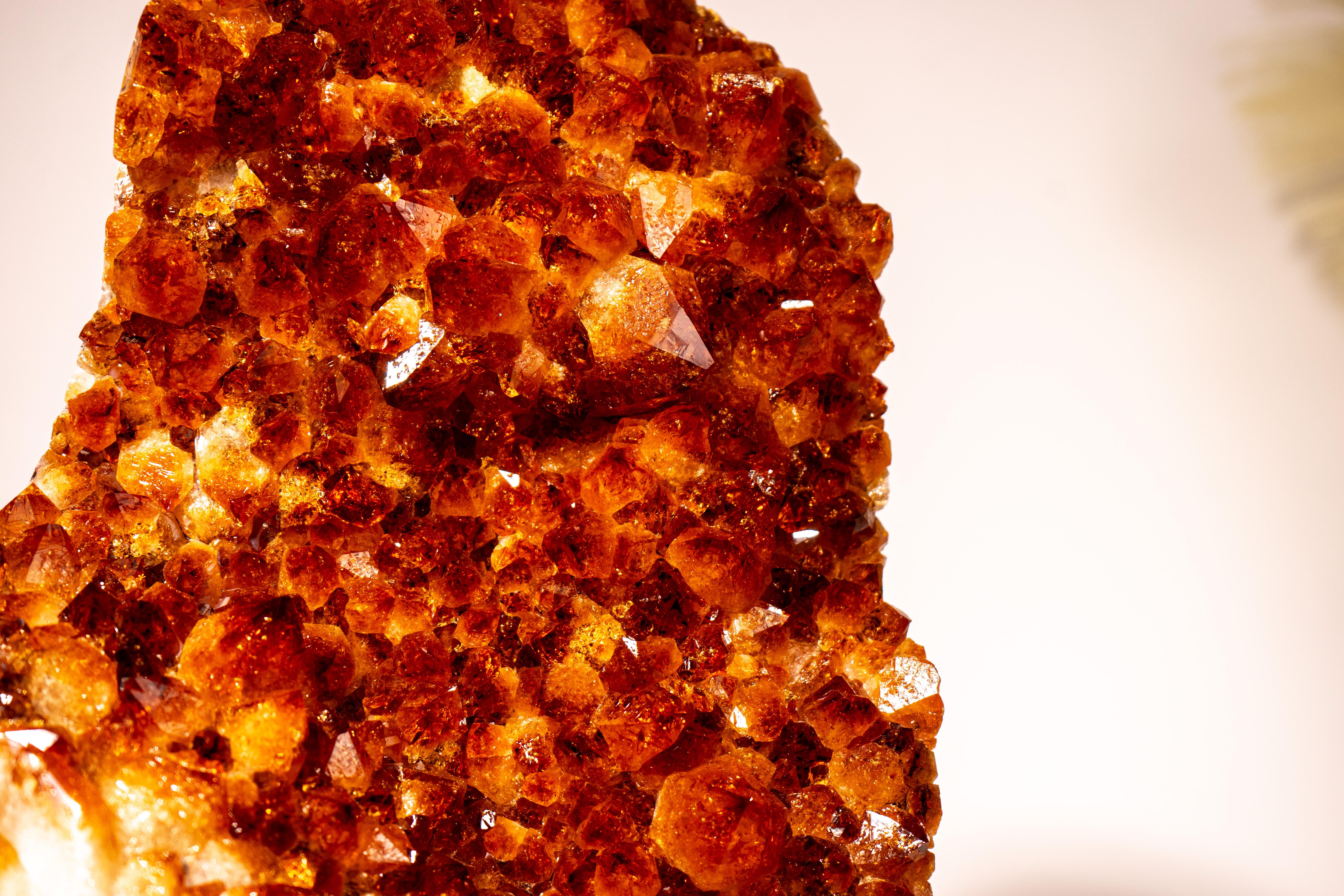 Madeira Citrine Crystal Cluster with AAA-Grade Large Points In New Condition For Sale In Ametista Do Sul, BR