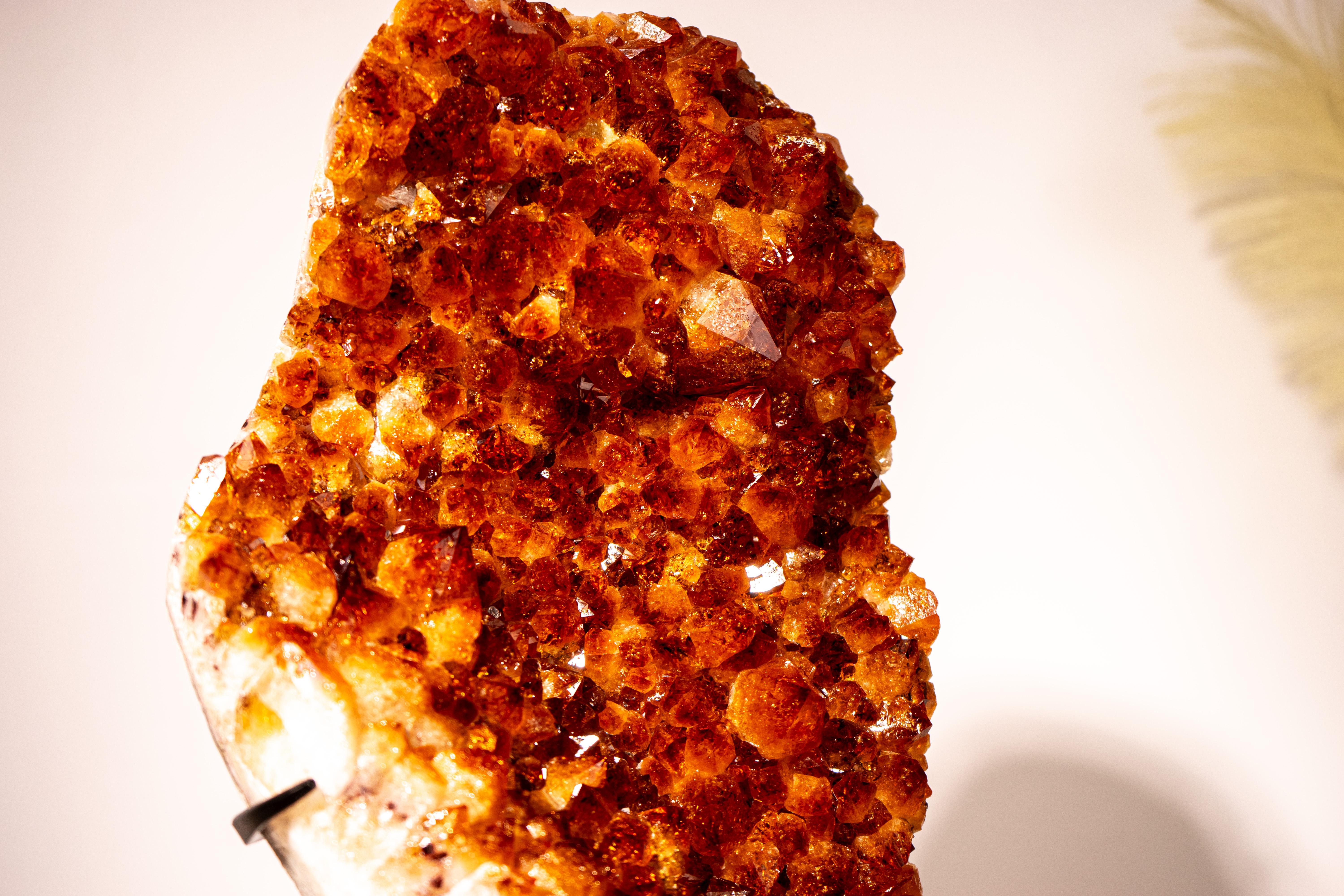 Contemporary Madeira Citrine Crystal Cluster with AAA-Grade Large Points For Sale