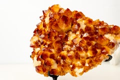 AAA Madeira Citrine Druzy Cluster