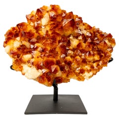 AAA Madeira Citrine Druzy Cluster