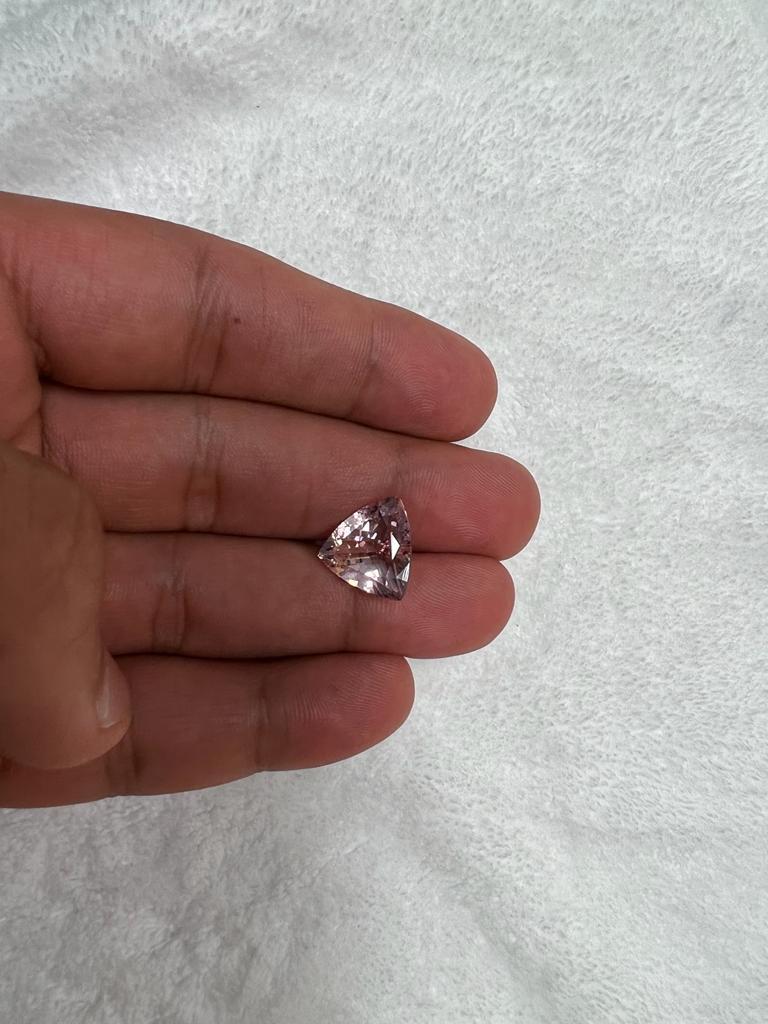 AAA Morganite rose naturelle en forme de trillion de 6,52 carats, pureté œil propre Neuf - En vente à New York, NY