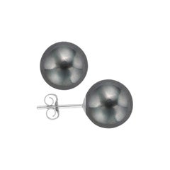 AAA Quality Black Freshwater Cultured Pearl Earring Stud on 14 Karat White Gold