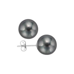 AAA Quality Black Freshwater Cultured Pearl Earring Stud on 14 Karat White Gold