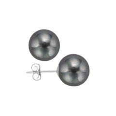 AAA Quality Black Freshwater Cultured Pearl Earring Stud on 14 Karat White Gold