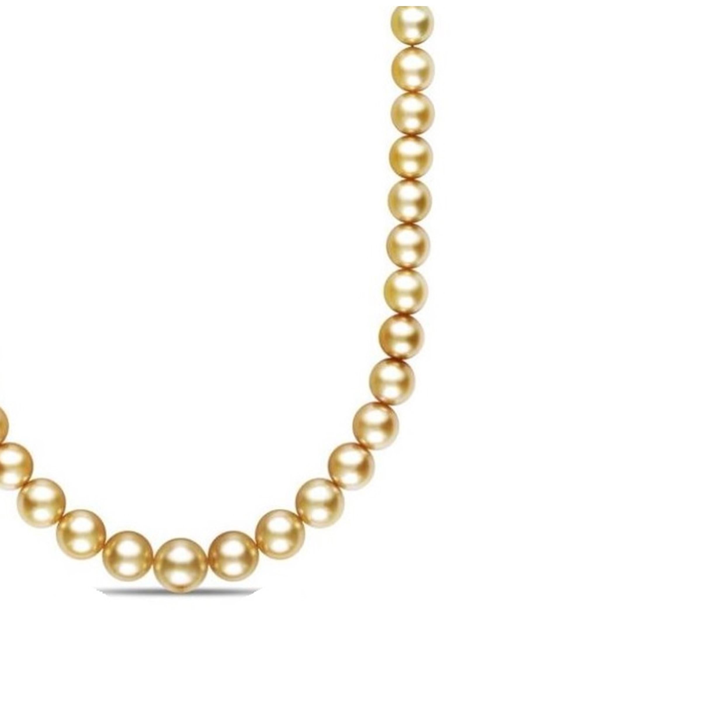 AAA Quality Golden South Sea Pearl Necklace with White Gold Diamond Studded Clasp

This exquisite golden south sea graduated pearl necklace features 8.0-11.0mm, AAA quality pearls hand-picked for their radiant luster. 
This princess length necklace 