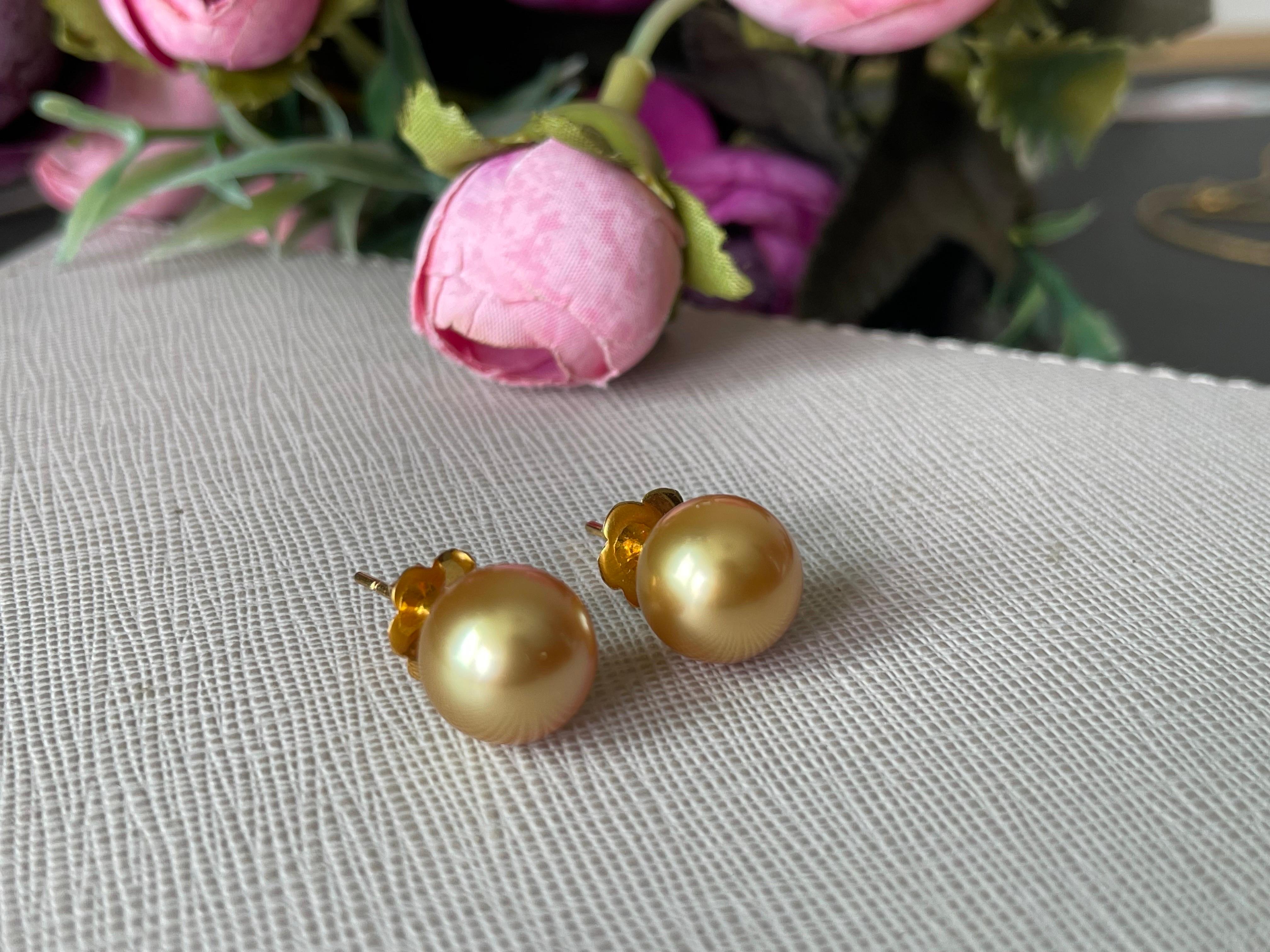 Women's or Men's AAA quality Rare Intense Gold Cultured South Sea Pearl Earring 