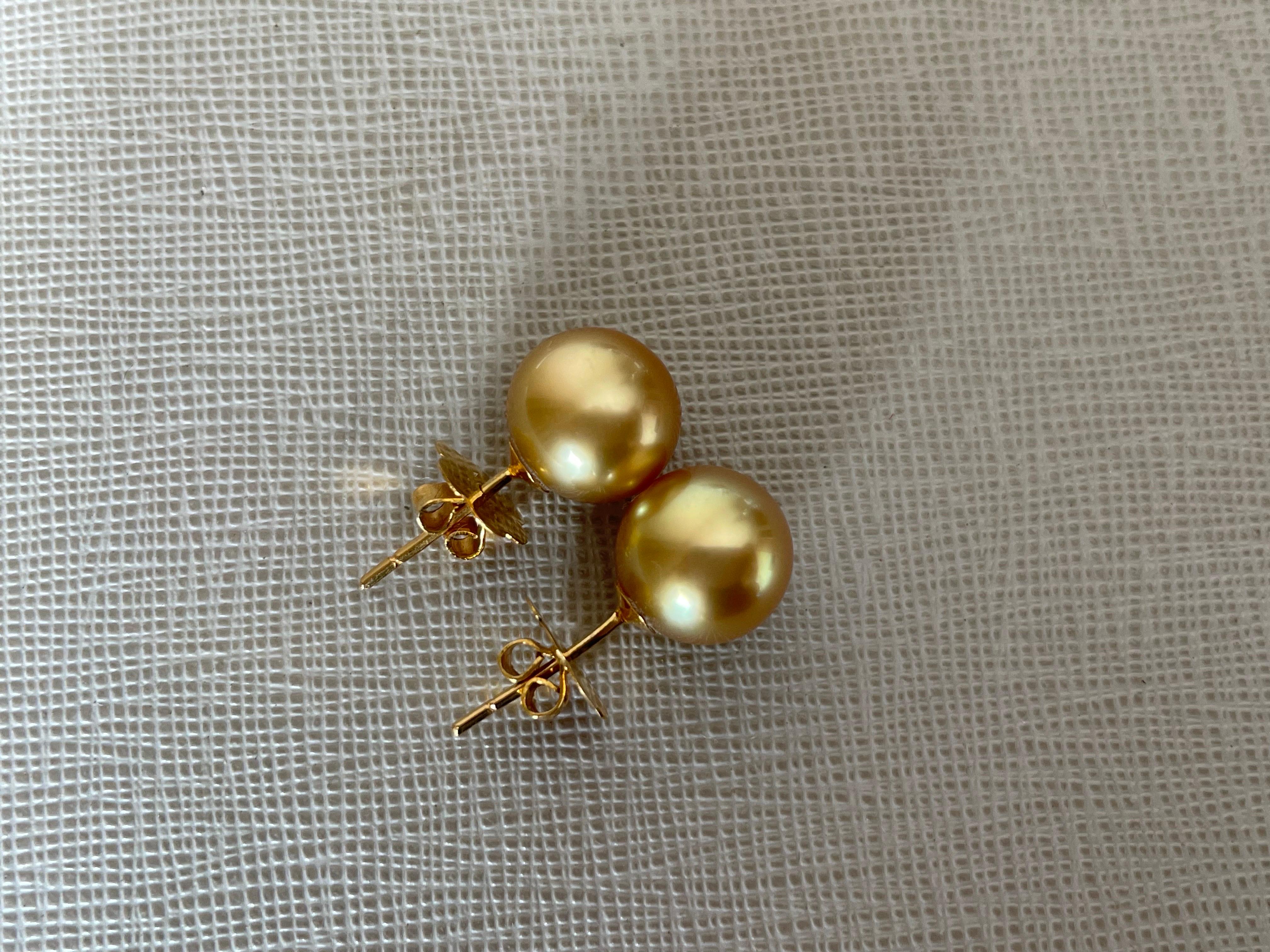 AAA quality Rare Intense Gold Cultured South Sea Pearl Earring  1