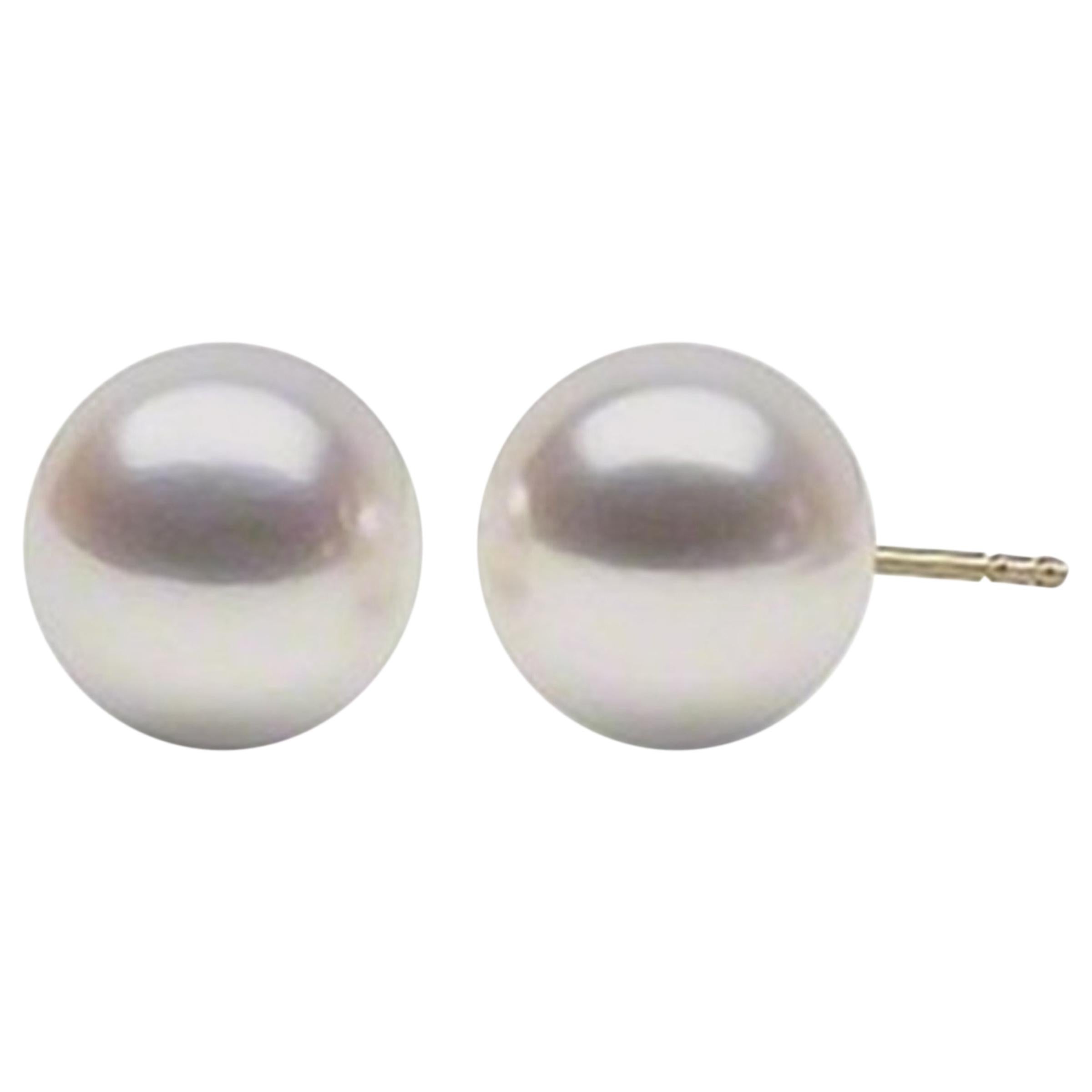 AAA Quality Round Akoya Cultured Pearl Earring Stud on 14 Karat Yellow Gold