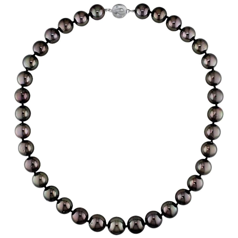 AAA Quality Round Tahitian South Sea Pearl Necklace with Diamond Studded Clasp im Angebot
