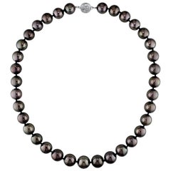 AAA Quality Round Tahitian South Sea Pearl Necklace with Diamond Studded Clasp