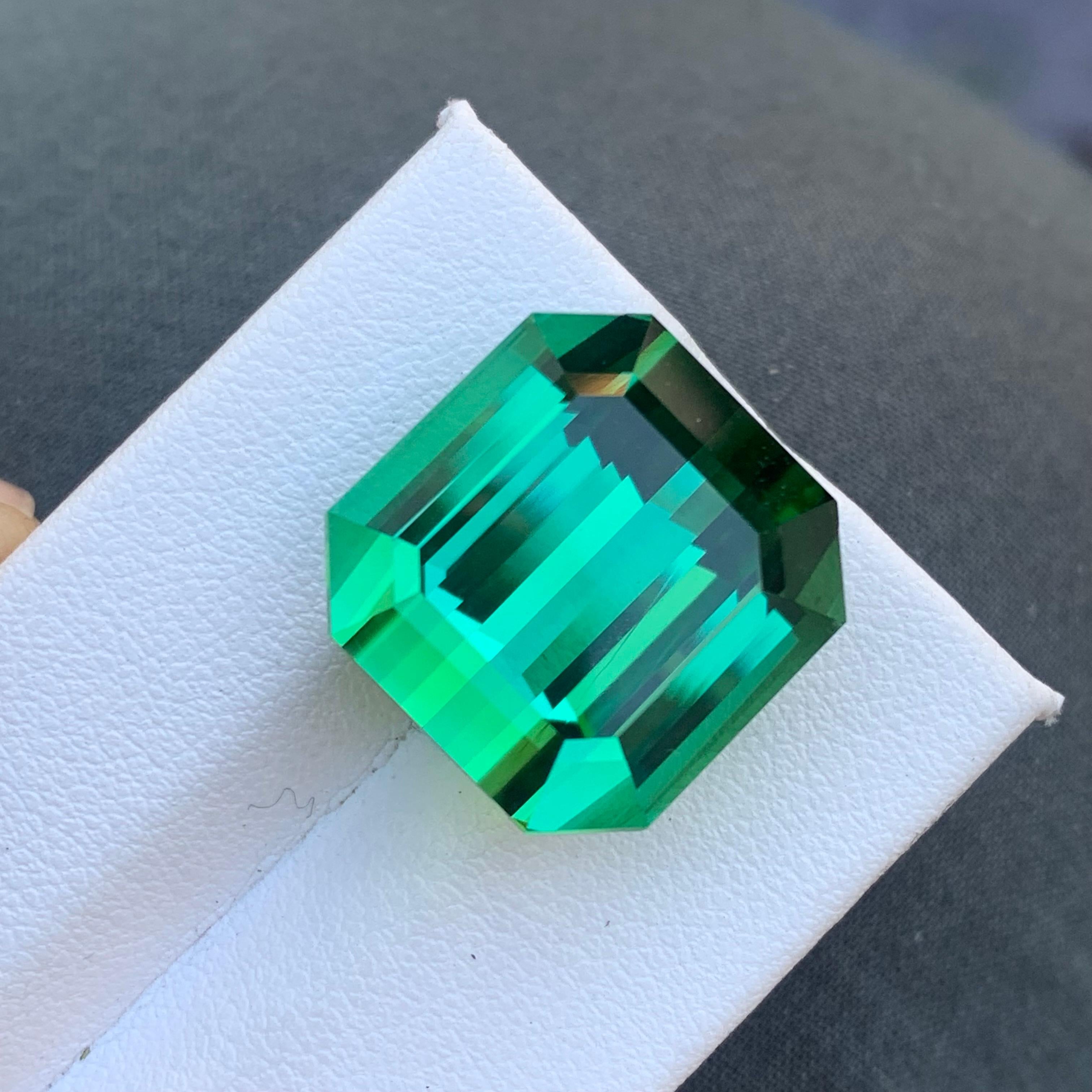 AAA Top Quality 31.15 Carat Natural Lagoon Tourmaline Emerald Cut Gemstone For Sale 8