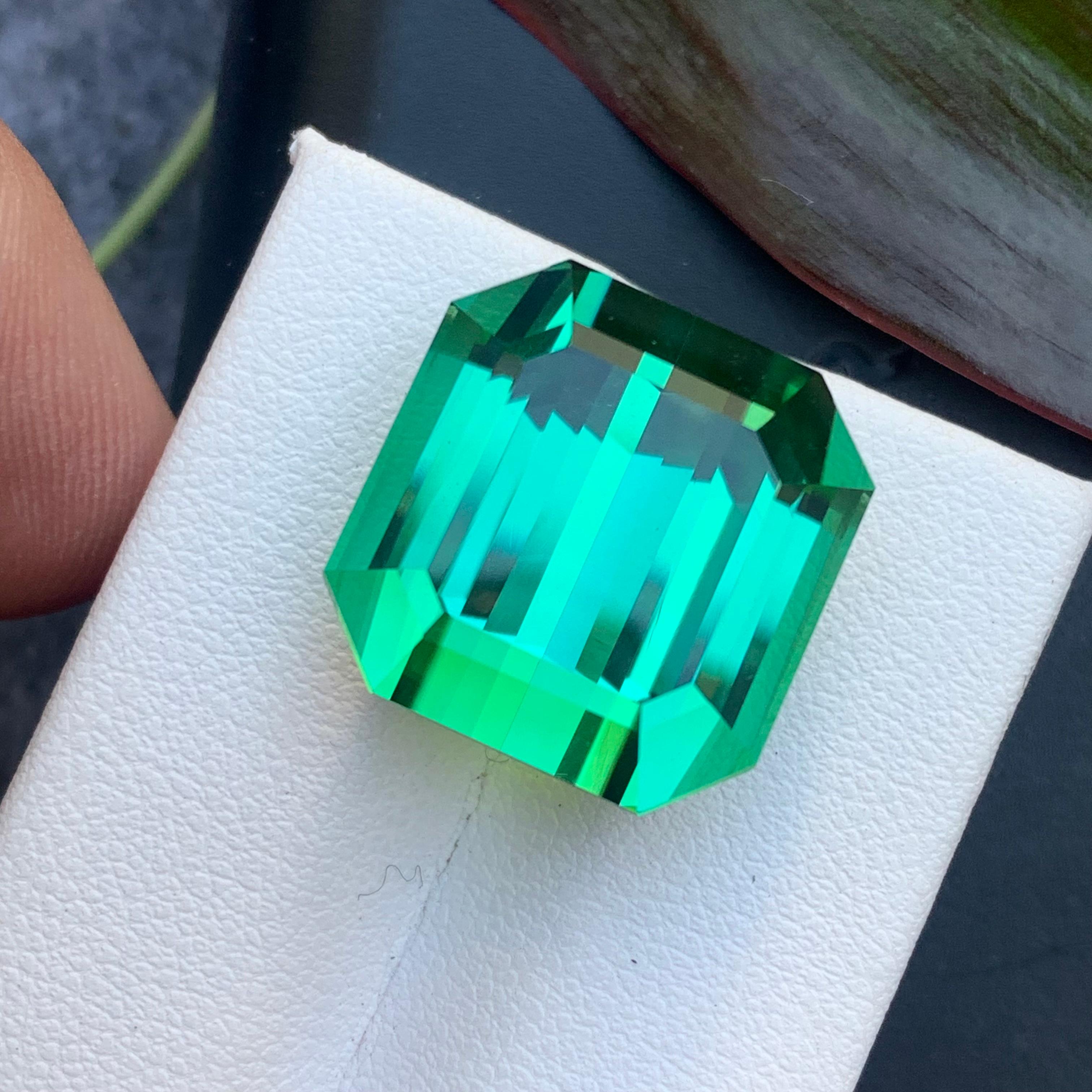 AAA Top Quality 31.15 Carat Natural Lagoon Tourmaline Emerald Cut Gemstone For Sale 9