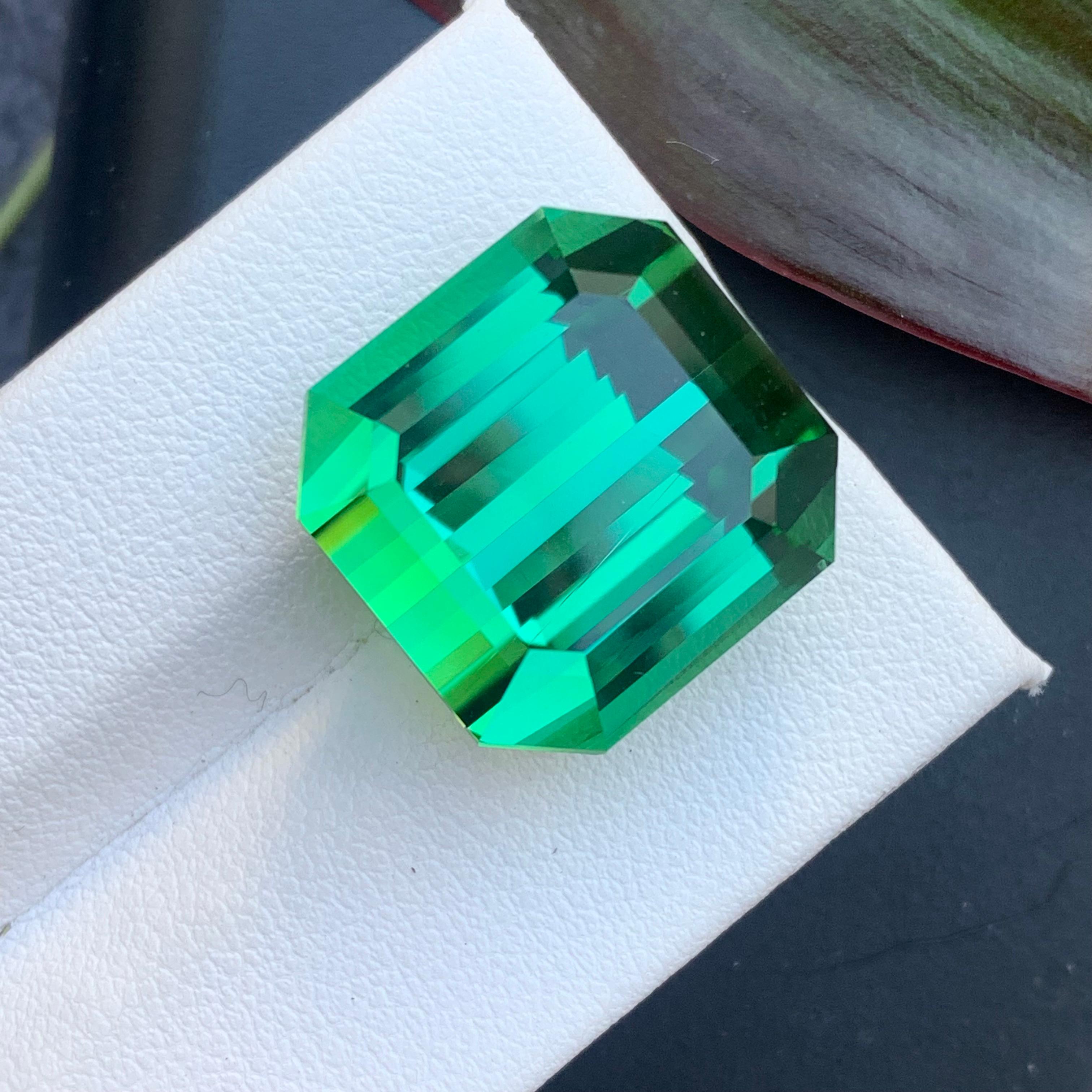 AAA Top Quality 31.15 Carat Natural Lagoon Tourmaline Emerald Cut Gemstone For Sale 10