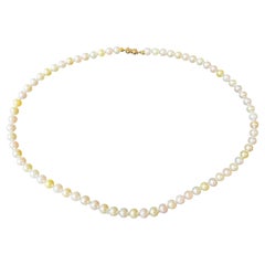 Beaded Necklaces
