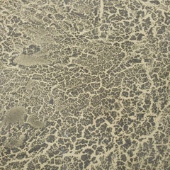 Aage and Kasper Würtz Monumental Platter