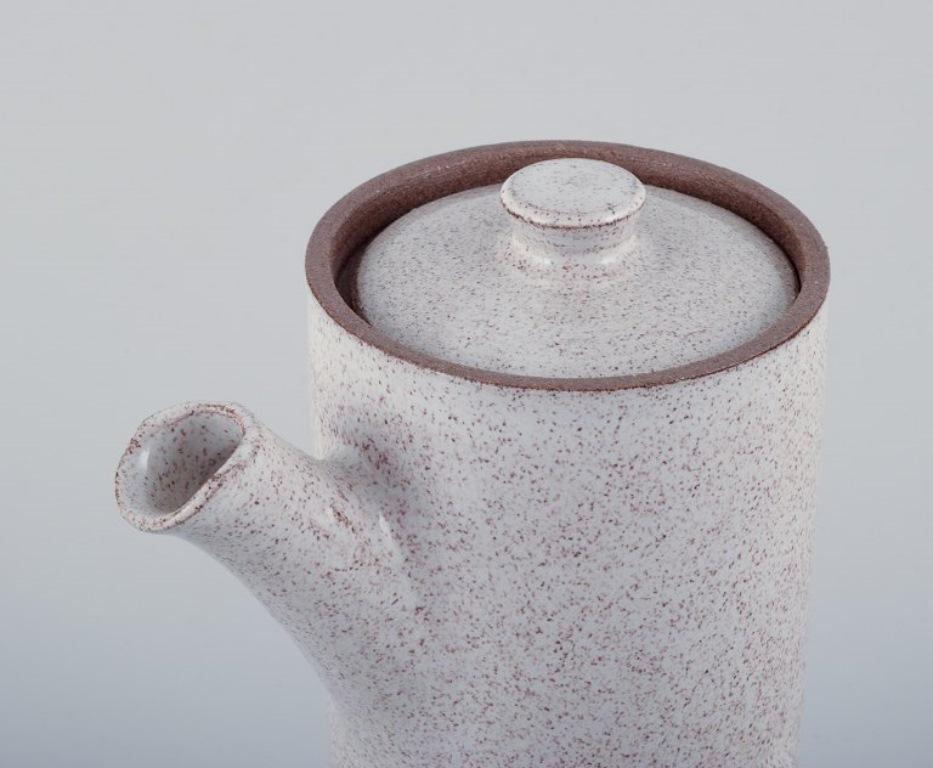 Late 20th Century Aage Rasmus Selsbo, Danish ceramic artist. Teapot and coffee pot in stoneware For Sale
