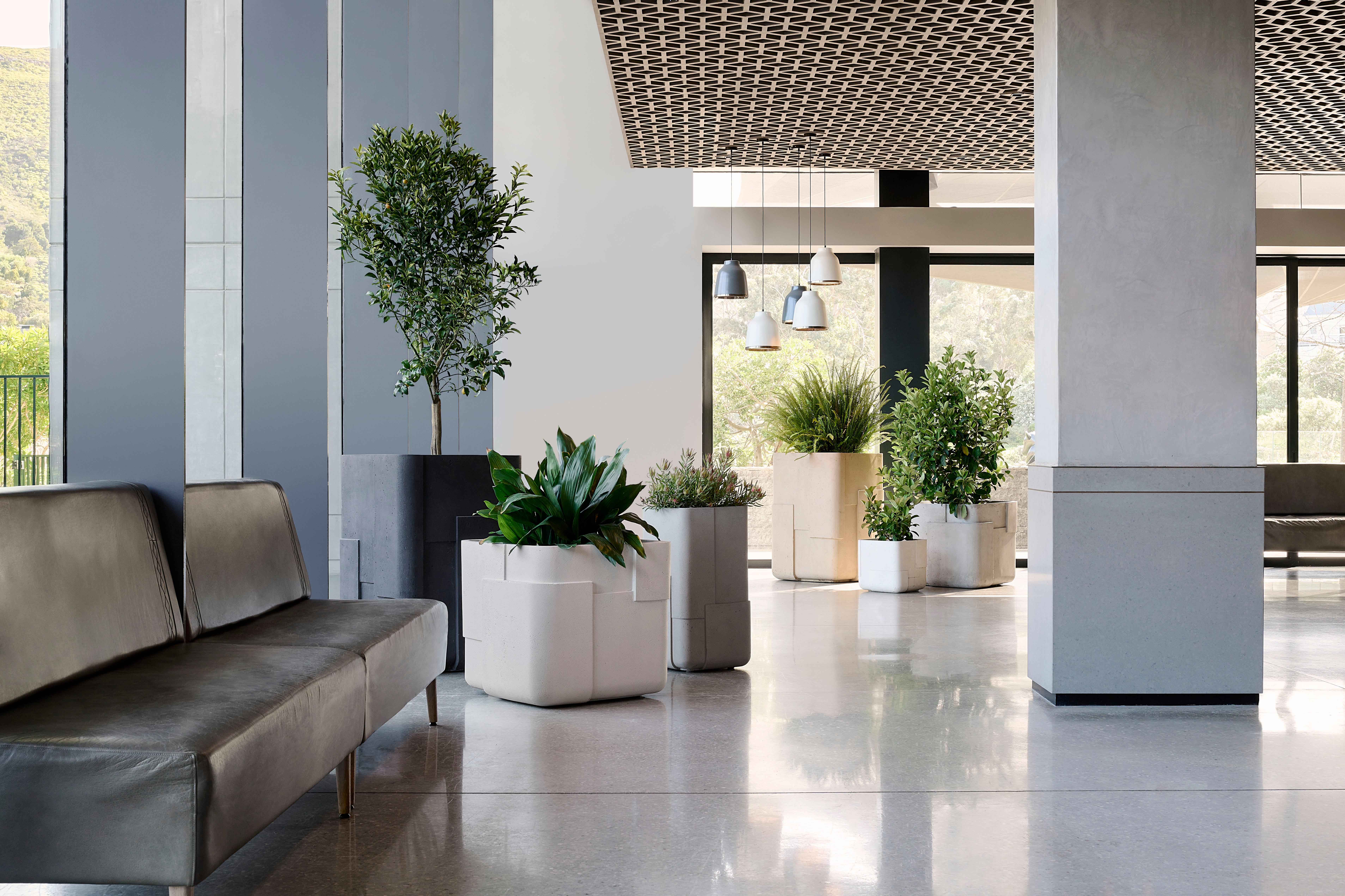 South African Aarde Square Black Planter by Indigenus For Sale