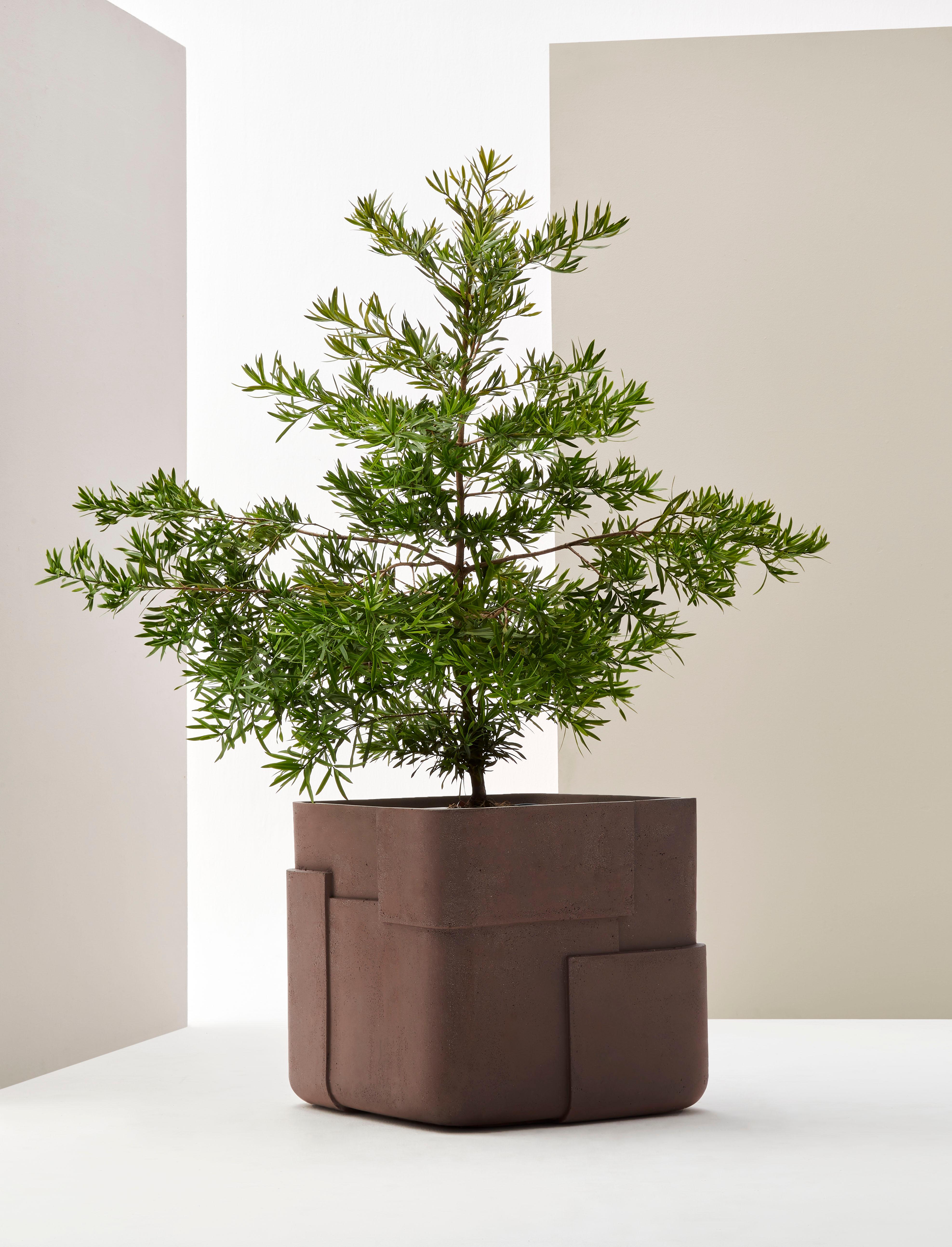 Aarde Square Sandstone Planter by Indigenus
Designed by Sebastian Herkner
Dimensions: W 75 x H 68 cm.
Materials: Stone.
Weight: 90 kg.

Different colors and sizes are available. Please contact us.

Following his honeymoon to South Africa, German
