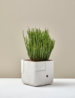 Aarde Square XS Black Planter by Indigenus