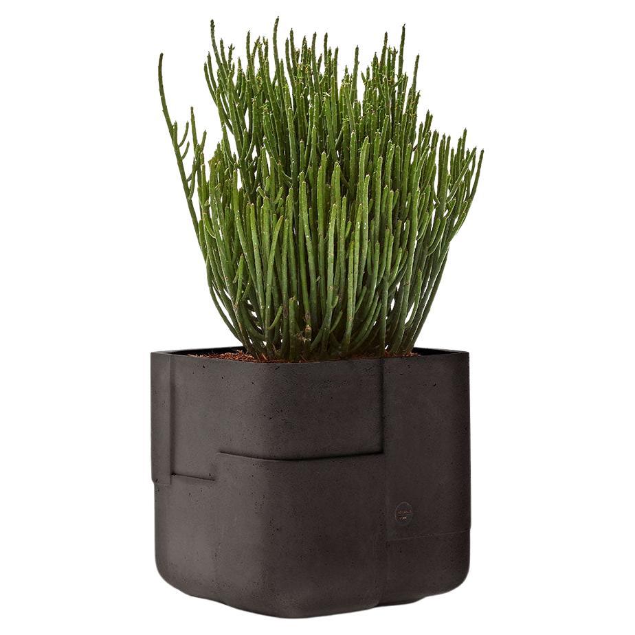Aarde Square XS Black Planter by Indigenus