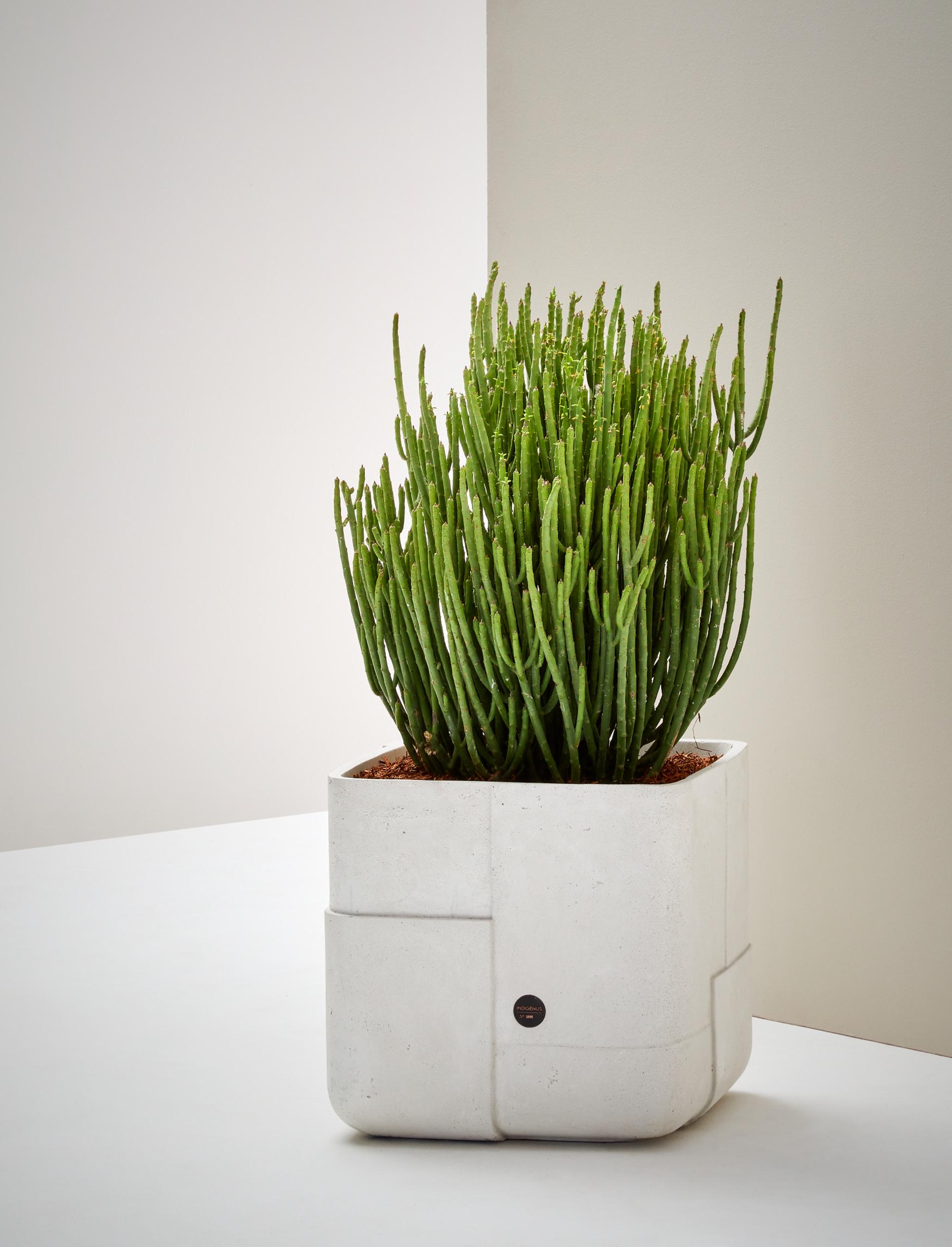 Post-Modern Aarde Square XS Sandstone Planter by Indigenus For Sale