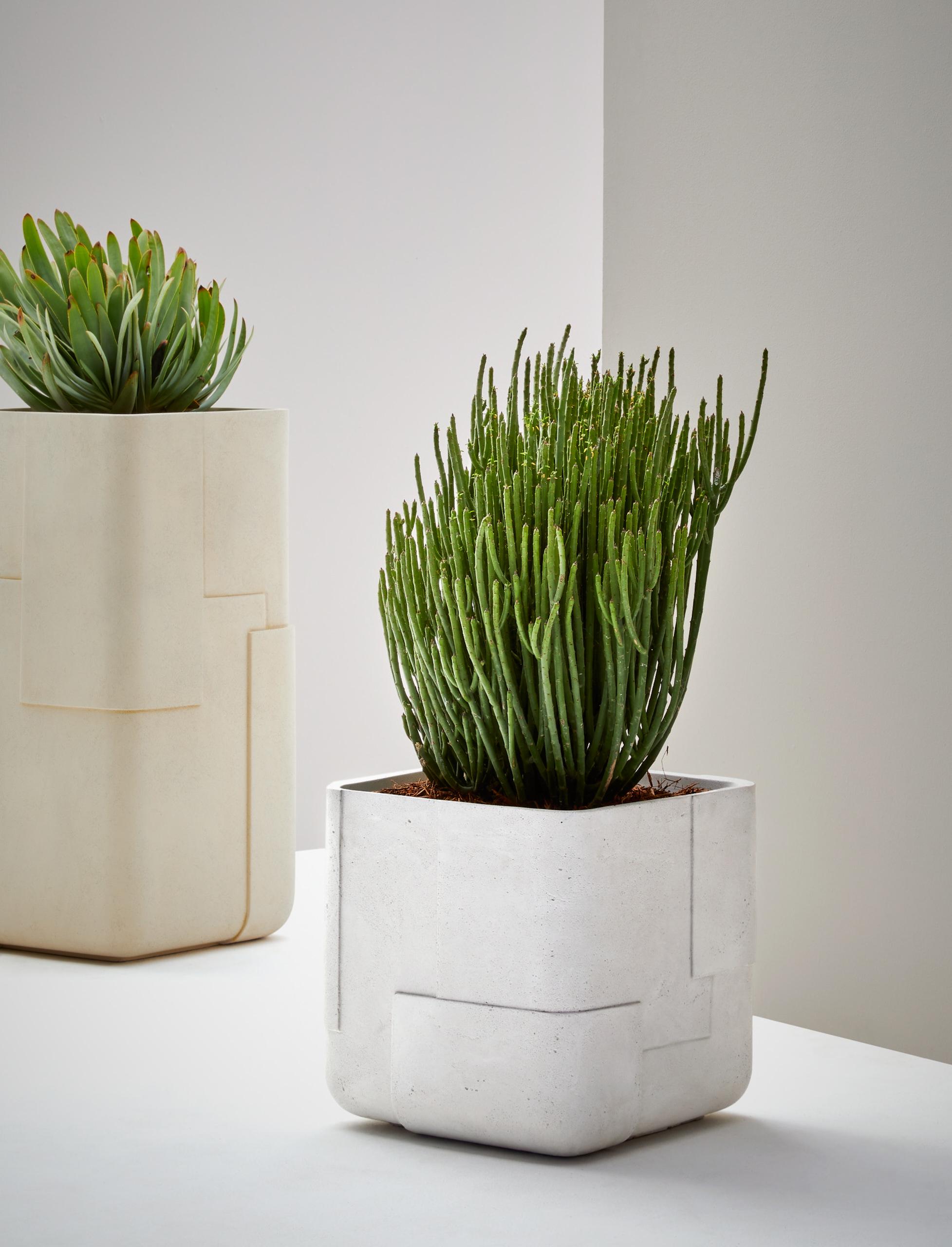 South African Aarde Square XS Sandstone Planter by Indigenus For Sale