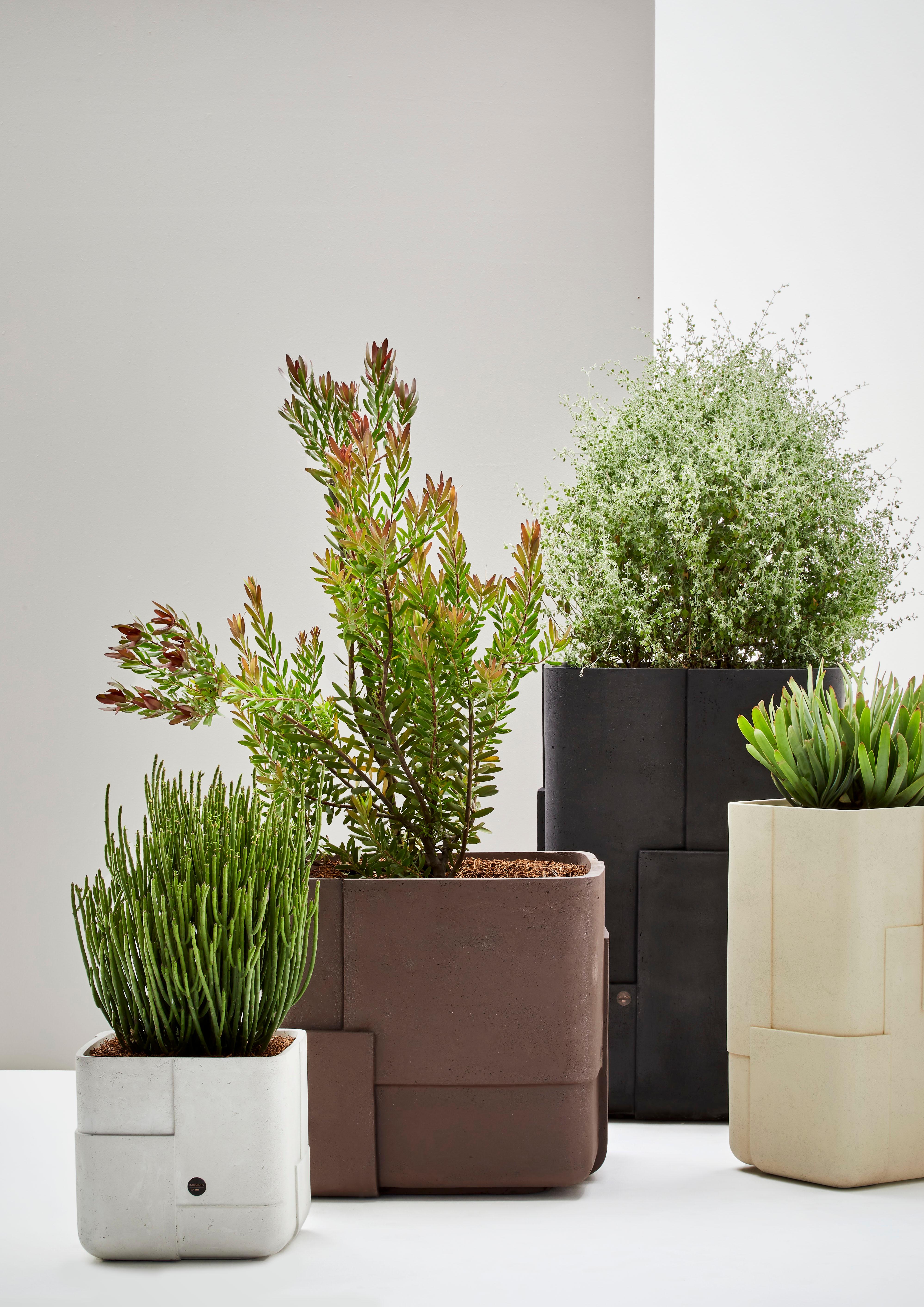 Stone Aarde Square XS Sandstone Planter by Indigenus For Sale