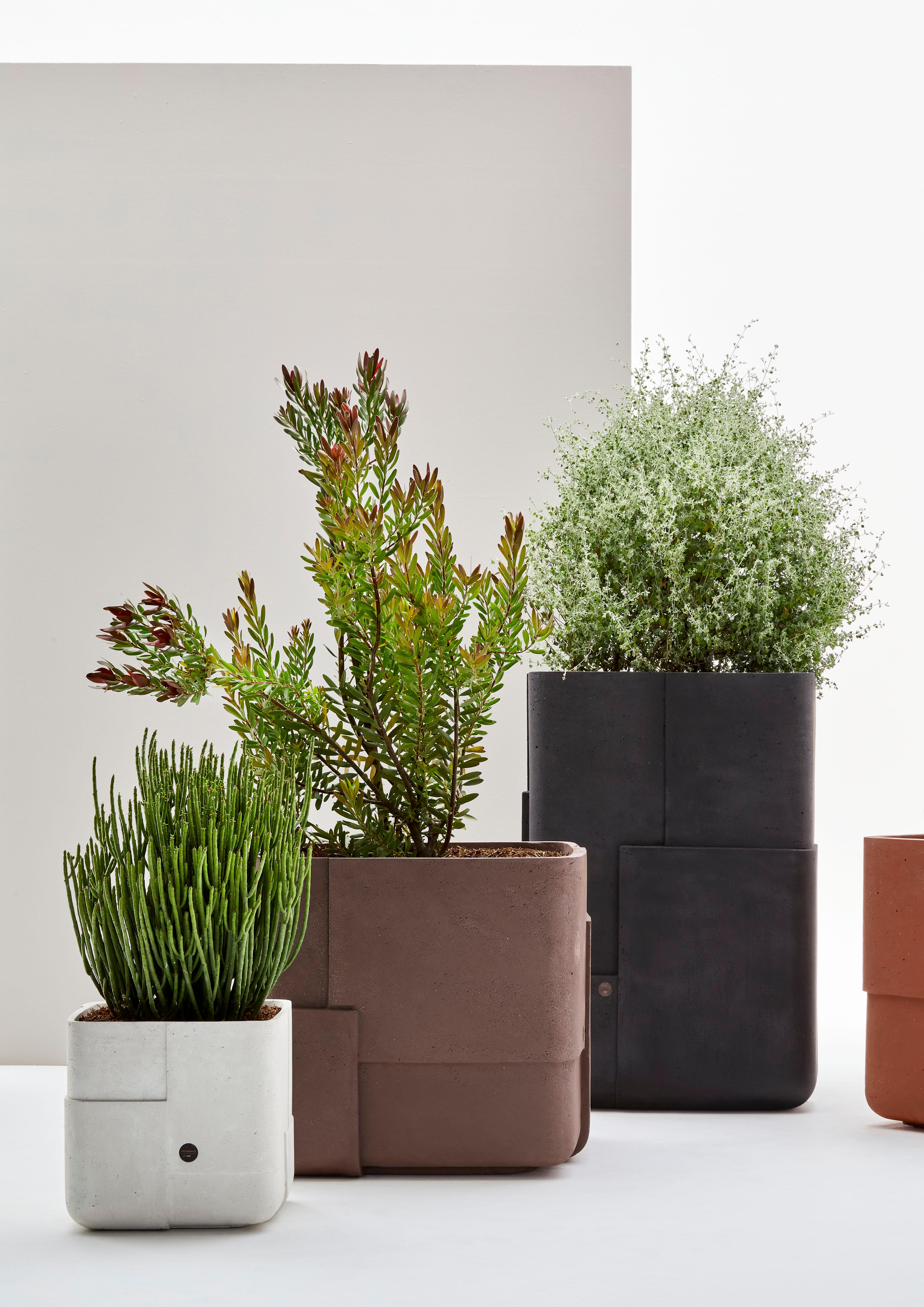 Aarde Square XS Sandstone Planter by Indigenus For Sale 1