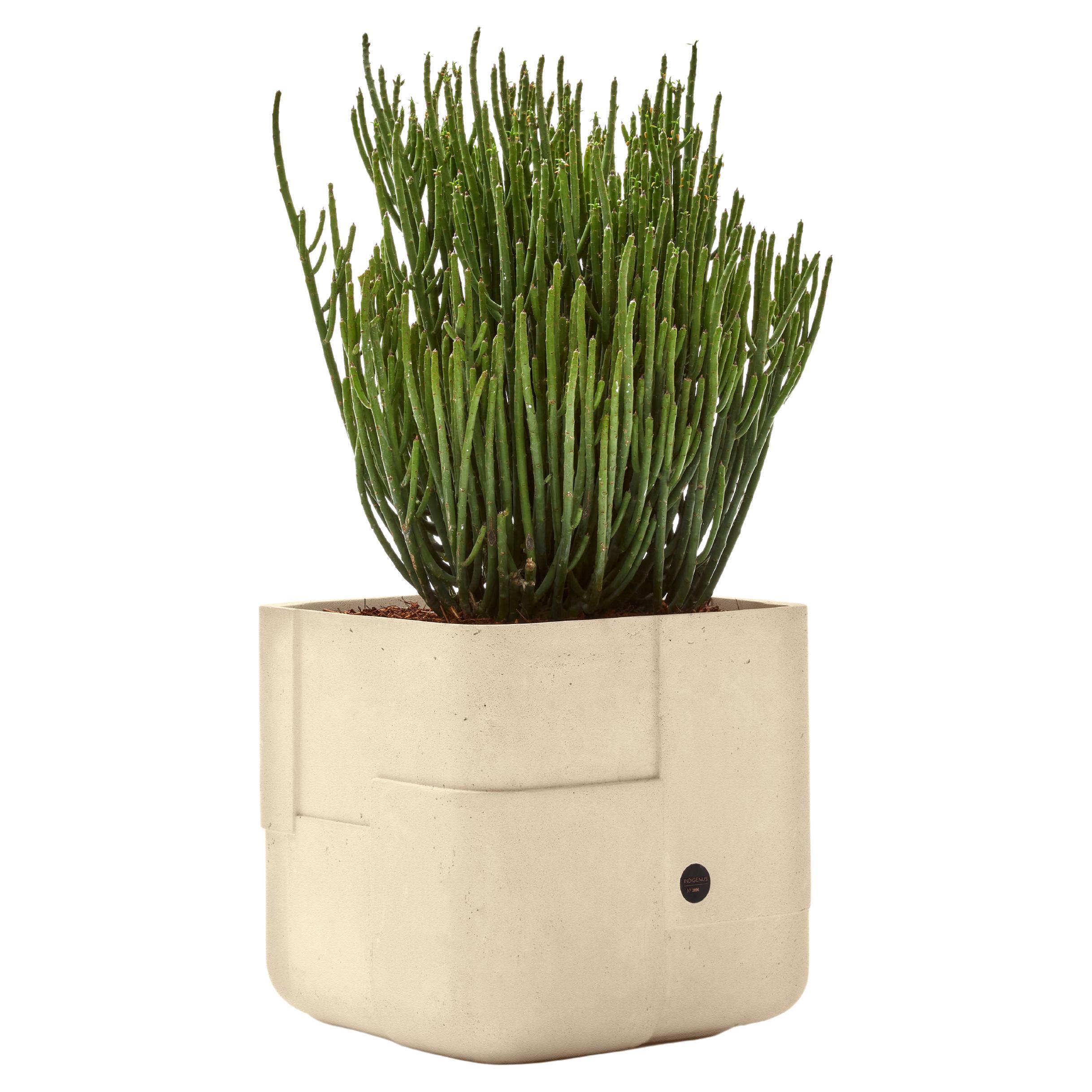 Aarde Square XS Sandstone Planter by Indigenus For Sale