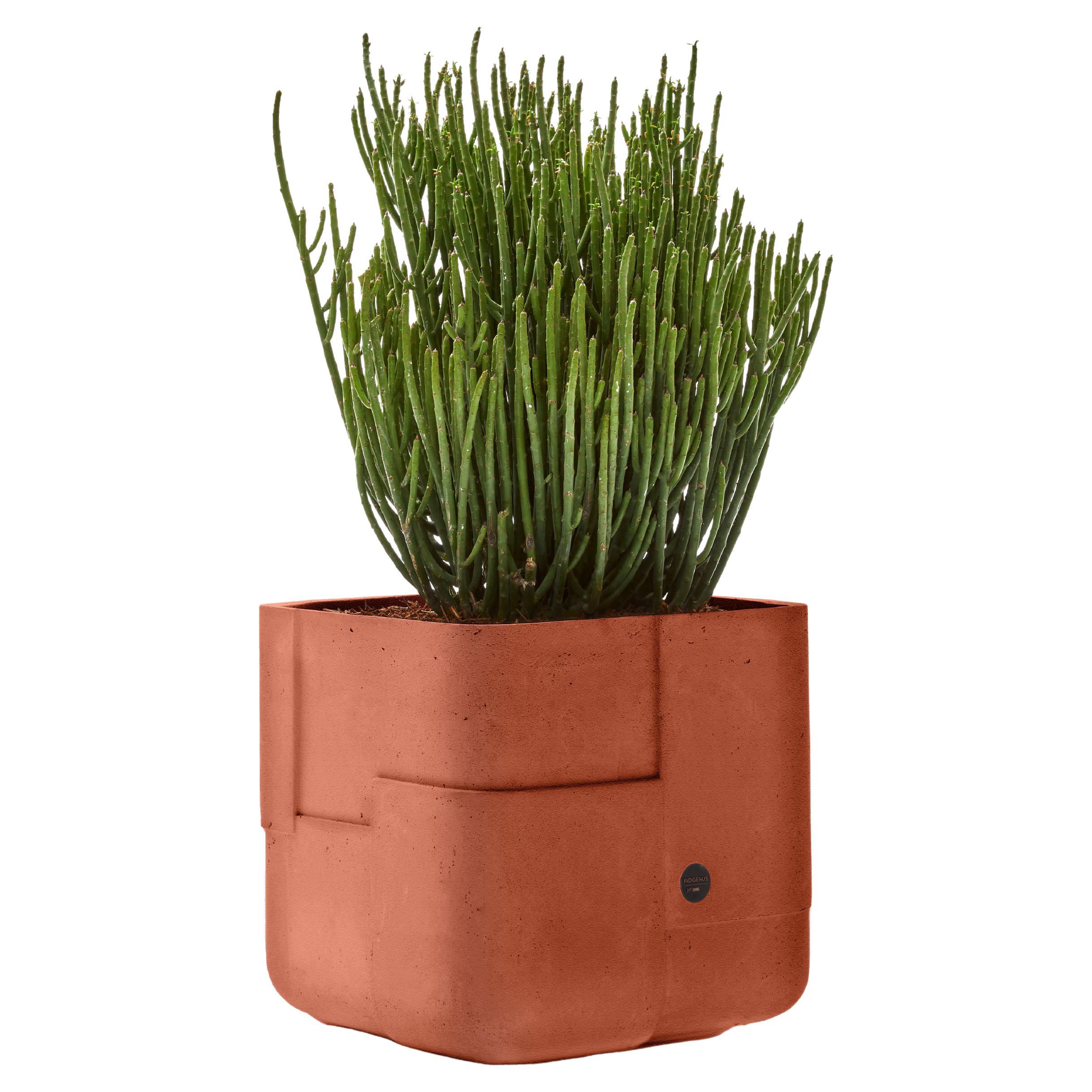Aarde Square XS Terracotta Planter by Indigenus