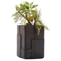 Aarde Tall Black Planter by Indigenus