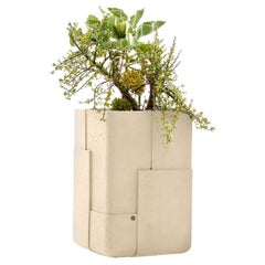 Aarde Tall Sandstone Planter by Indigenus