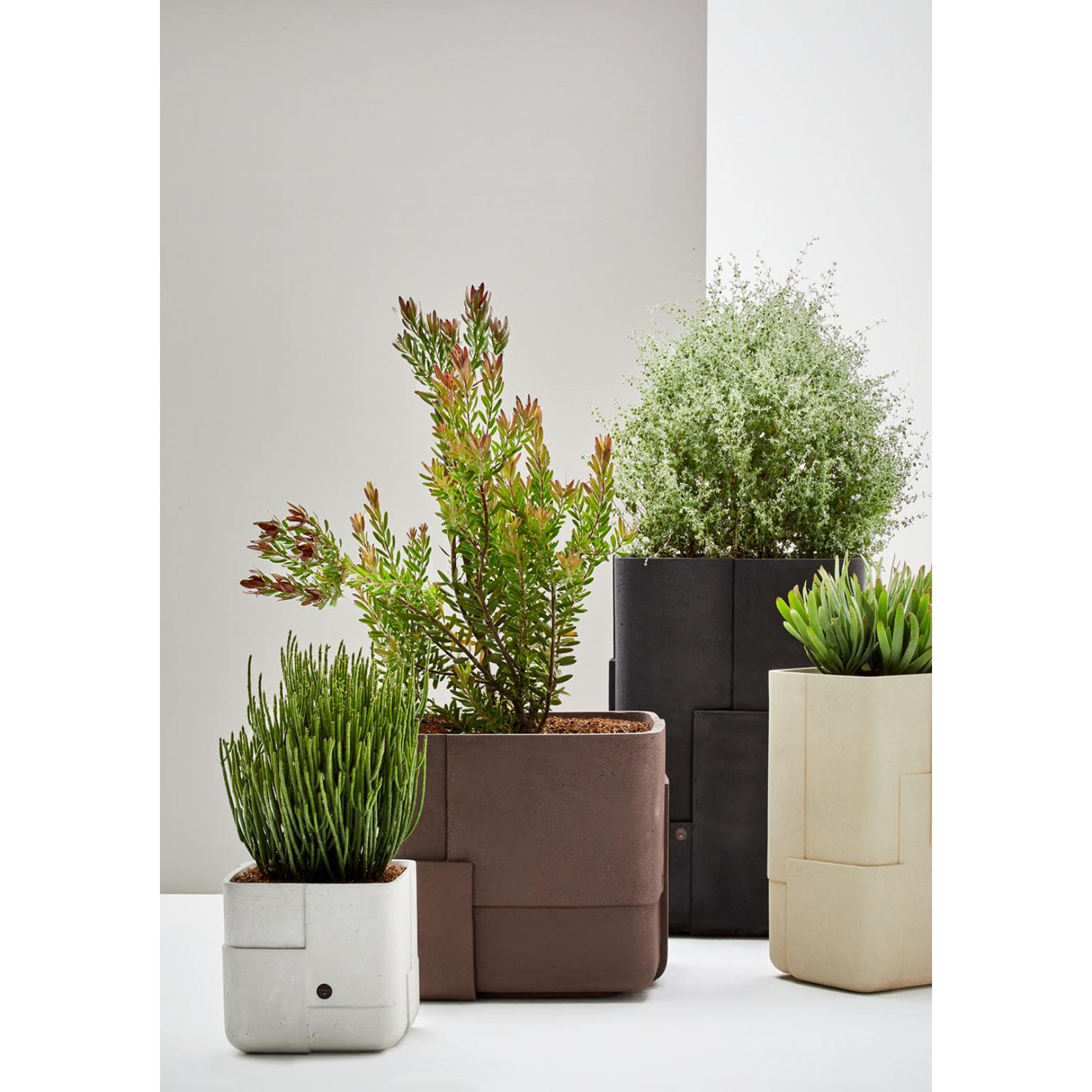 Aarde Tall XS Sandstone Planter by Indigenus For Sale 5