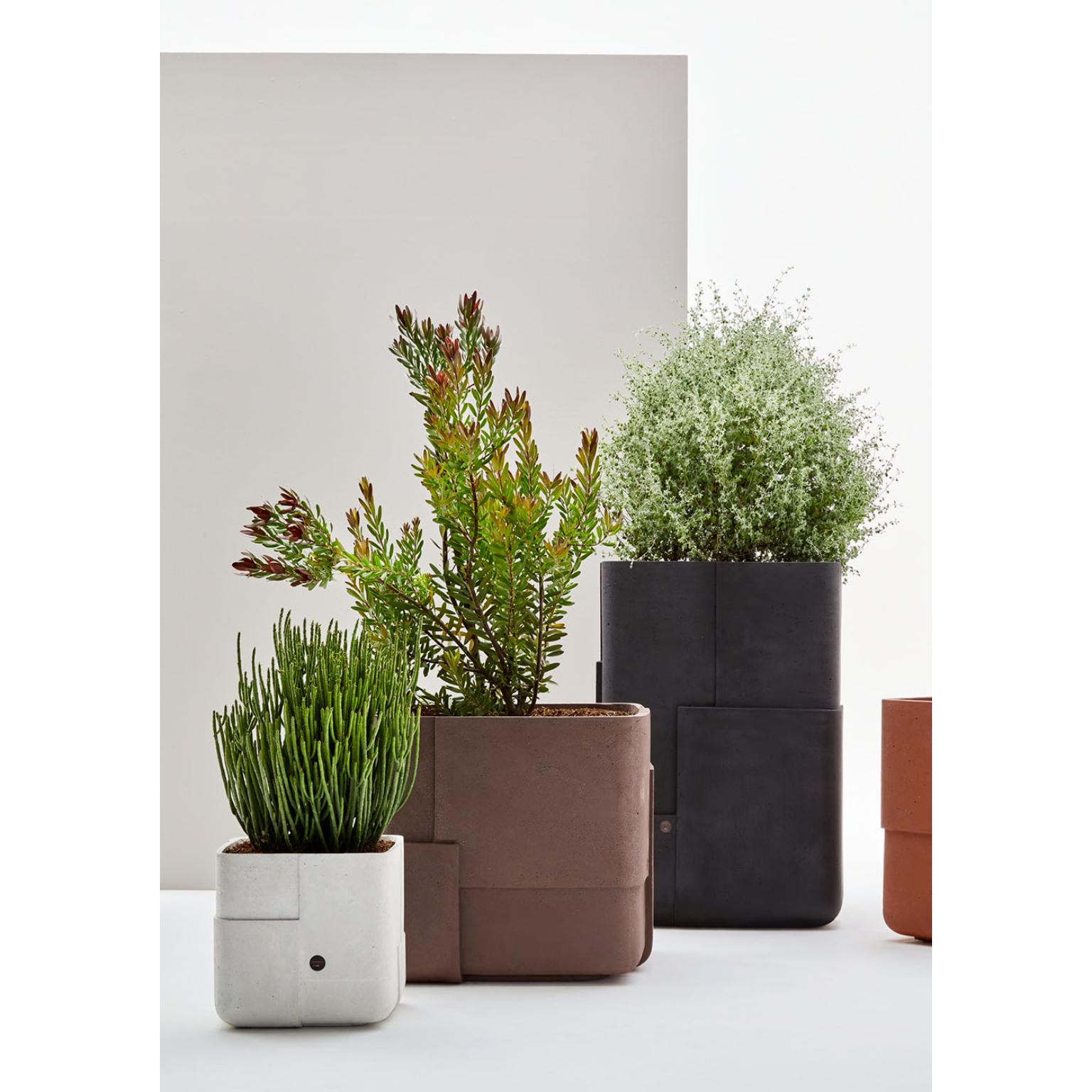 Aarde Tall XS Sandstone Planter by Indigenus For Sale 6
