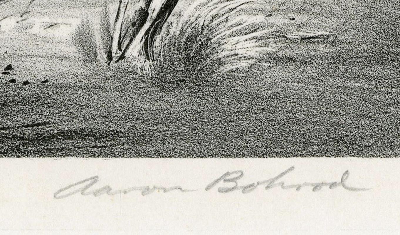 Stadtpark, Winter
Lithographie, ca. 1947
Signiert mit Bleistift unten rechts (siehe Foto)
Herausgegeben von Associated American Artists
Gedruckt von George C. Miller, New York
Auflage: ca. 250
In den Bohrod-Nachlässen an der Syracuse University gibt