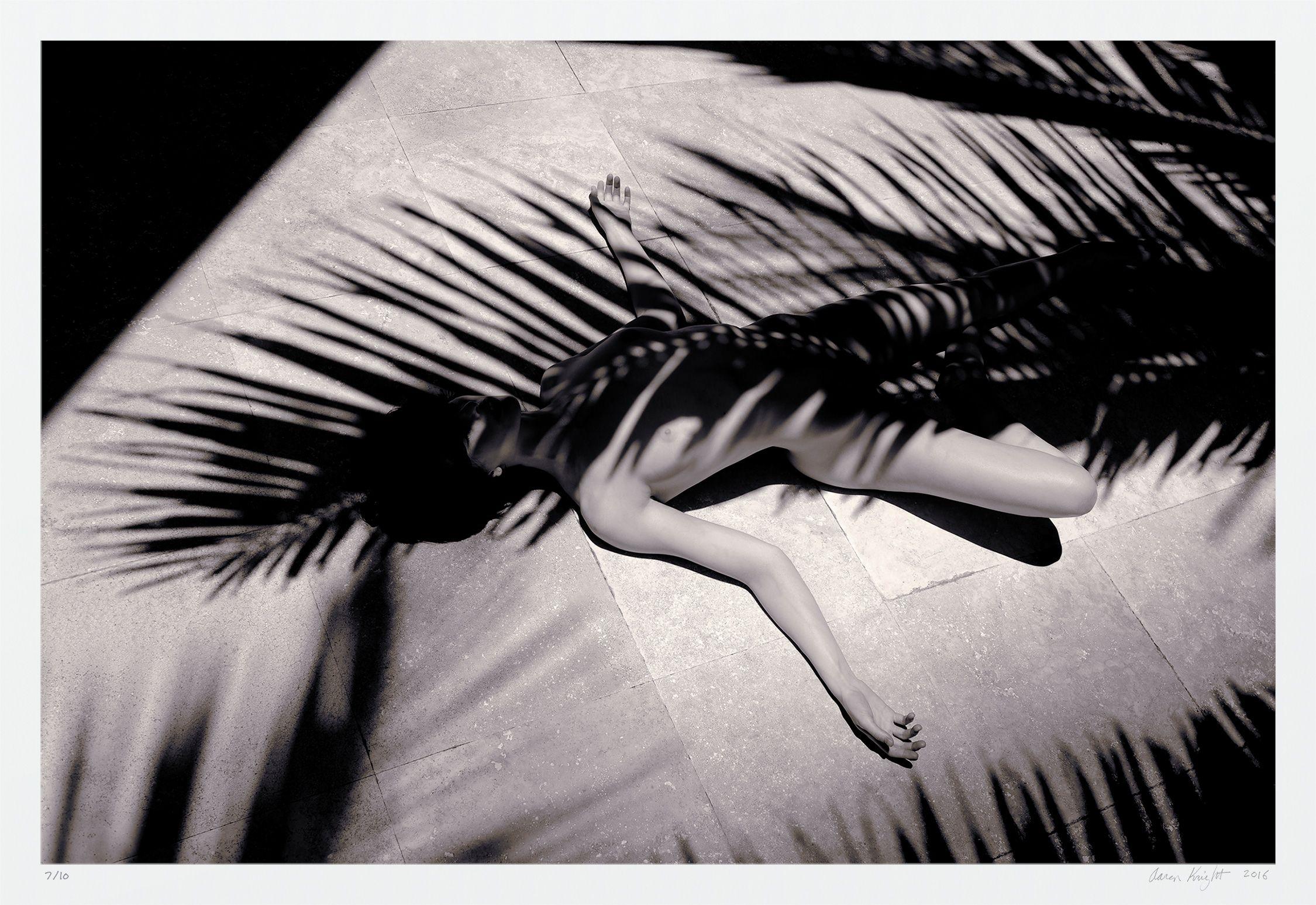 Aaron Knight Black and White Photograph - Arecales Umbra Femina 6/10, Photograph, Archival Ink Jet