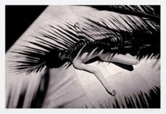 Arecales Umbra Femina 6/10, photographie, encre d'archives