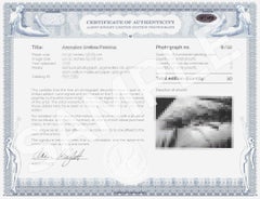 Flow Five Spheres 5/10, Fotografie, Archivtintenstrahl