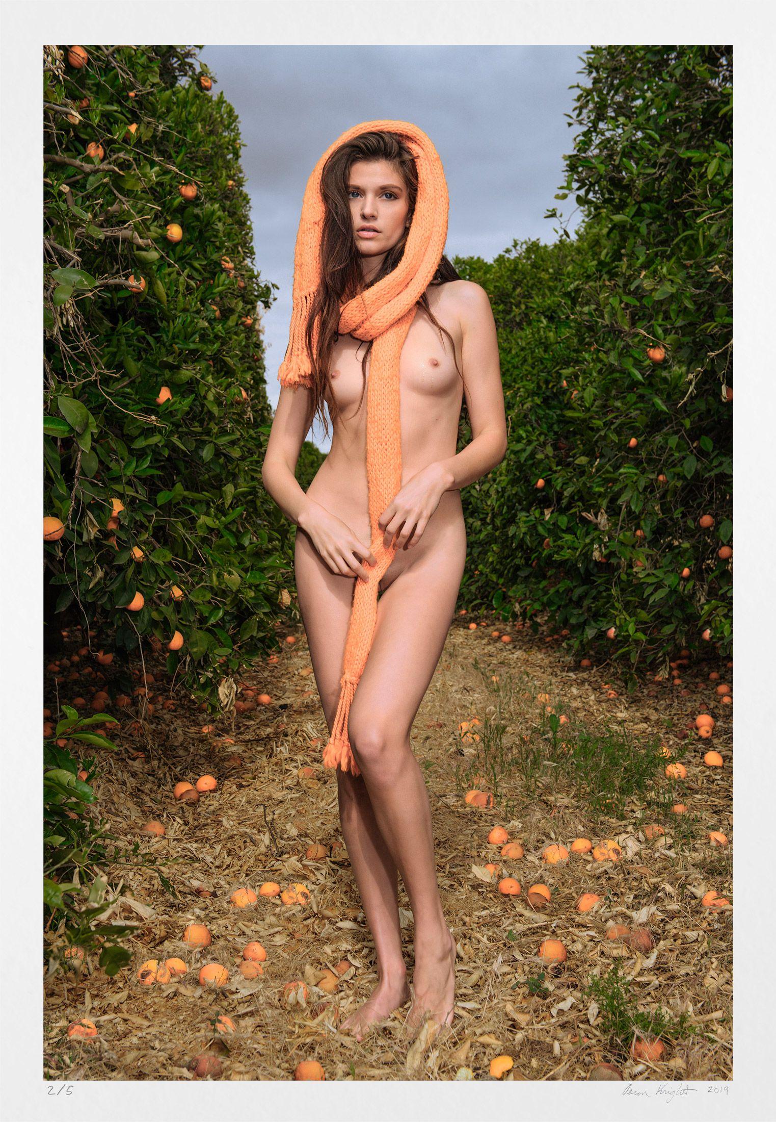 Aaron Knight Color Photograph – Orange Grove, Fotografie, Archivtinte- Jet